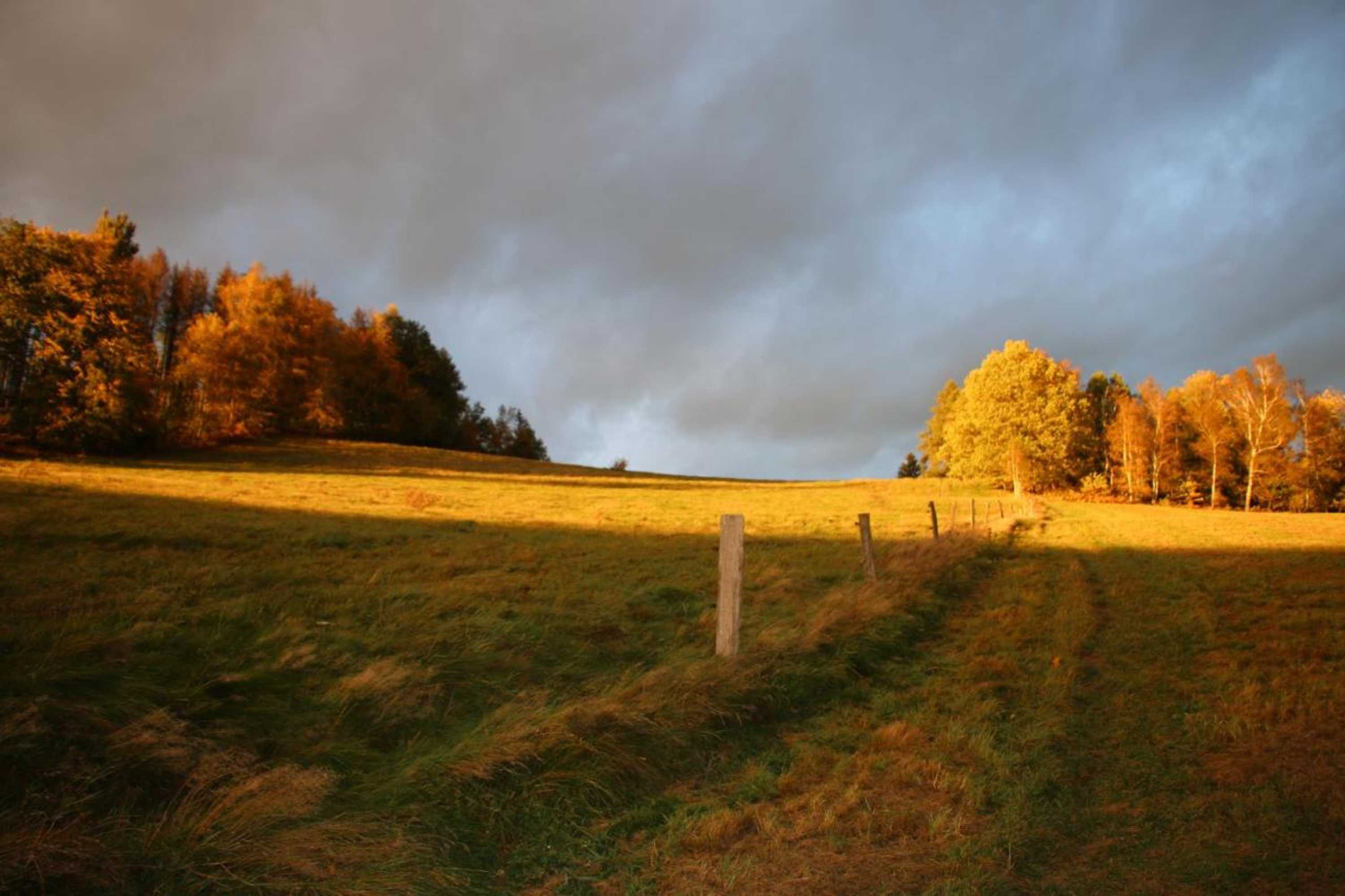 Gift card for Gasthaus 