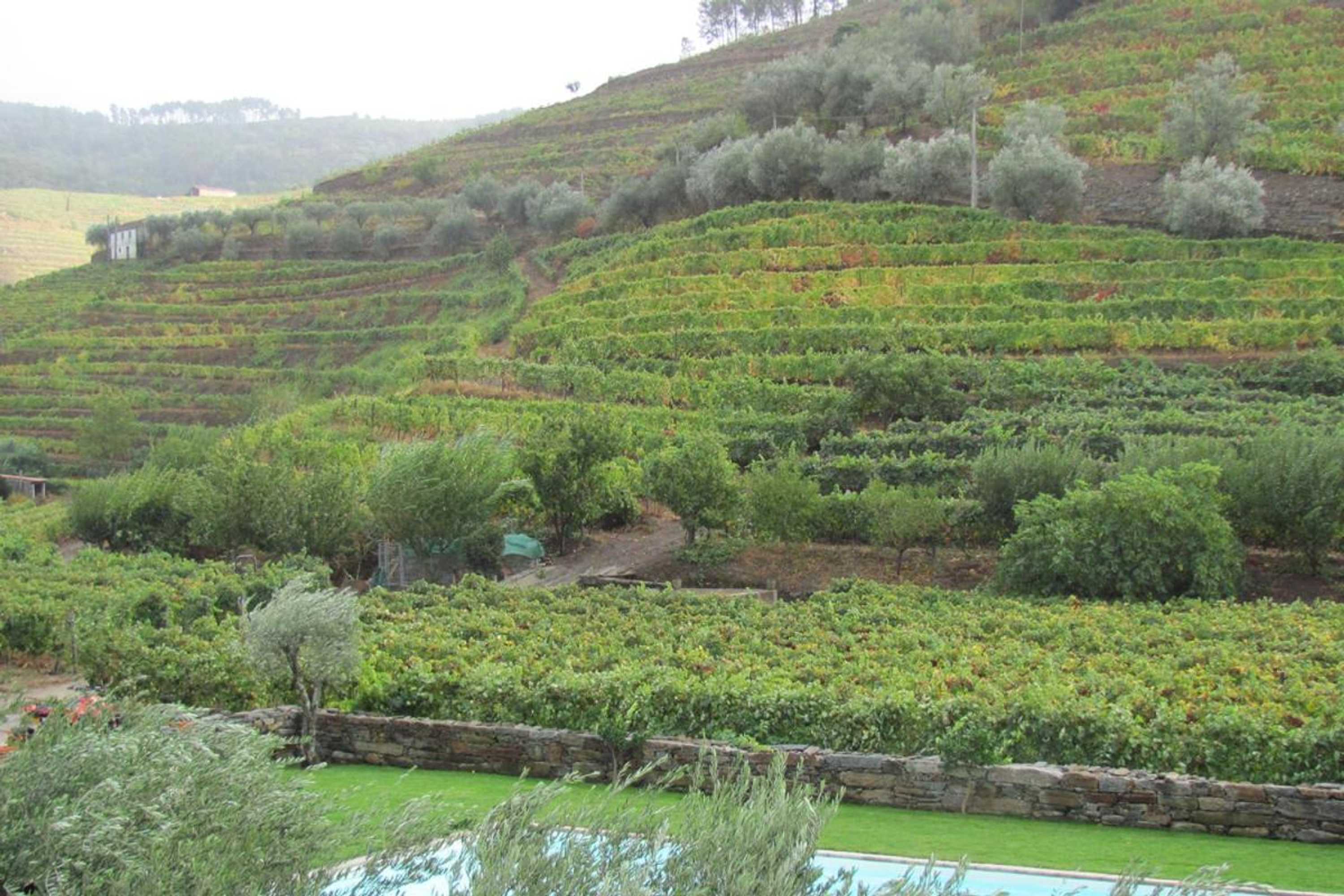 Gift card for Quinta Madureira