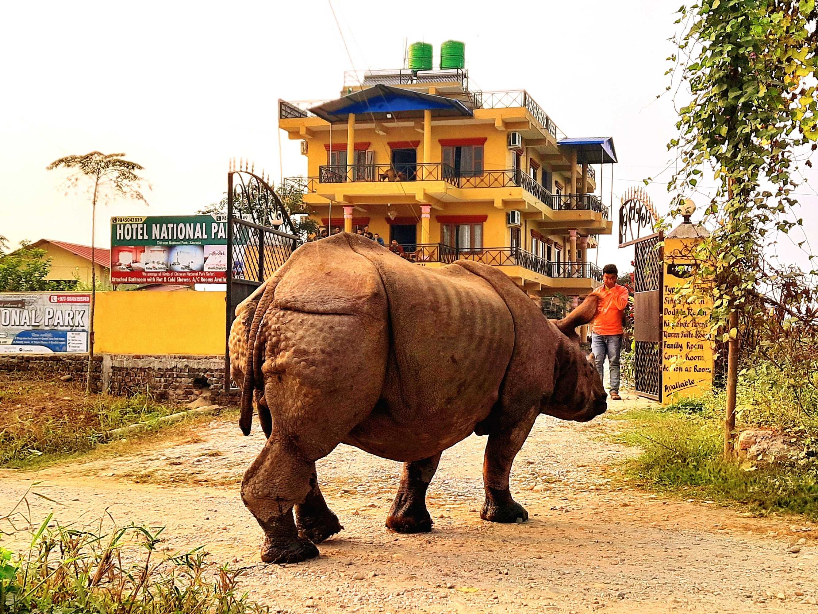 Gift card for Hotel National Park Sauraha- Homely Stay And Peaceful Location With Jungle Safari Arrangements Gift card for Hotel National Park Sauraha- Homely Stay And Peaceful Location With Jungle Safari Arrangements