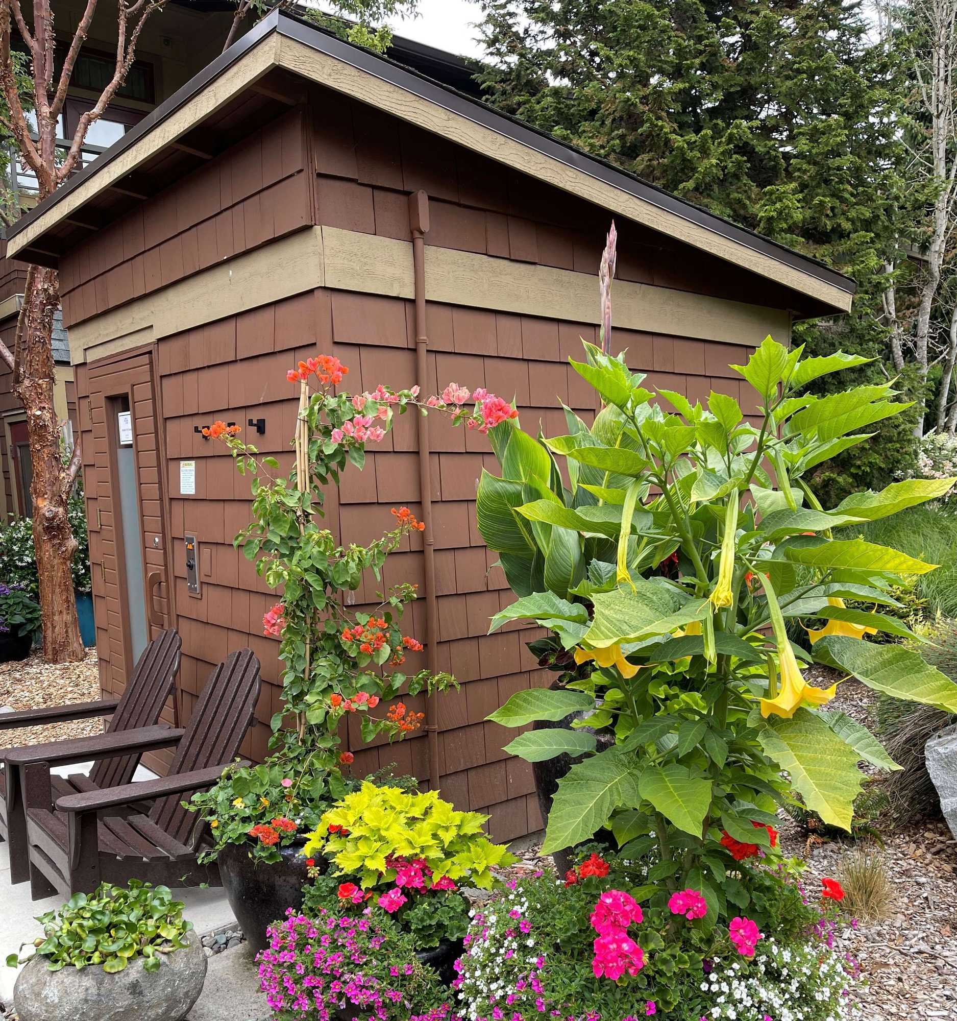 Gift card for Willows Lodge