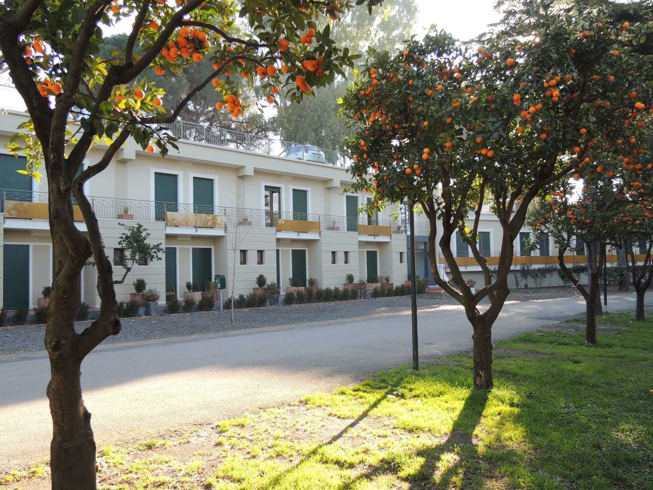 Gift card for Hotel Zeus Pompei