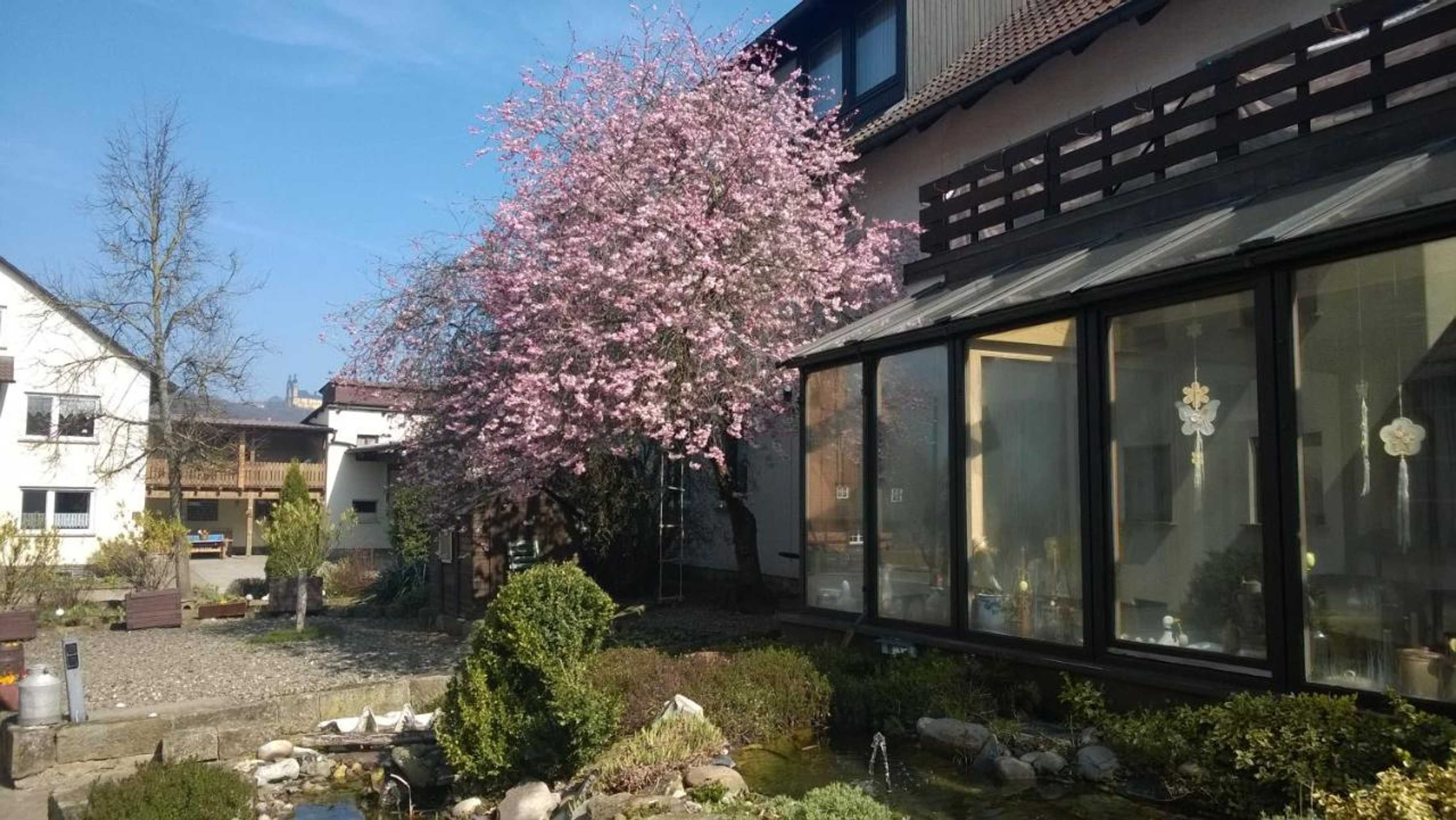 Gift card for Adolphs Frühstückspension