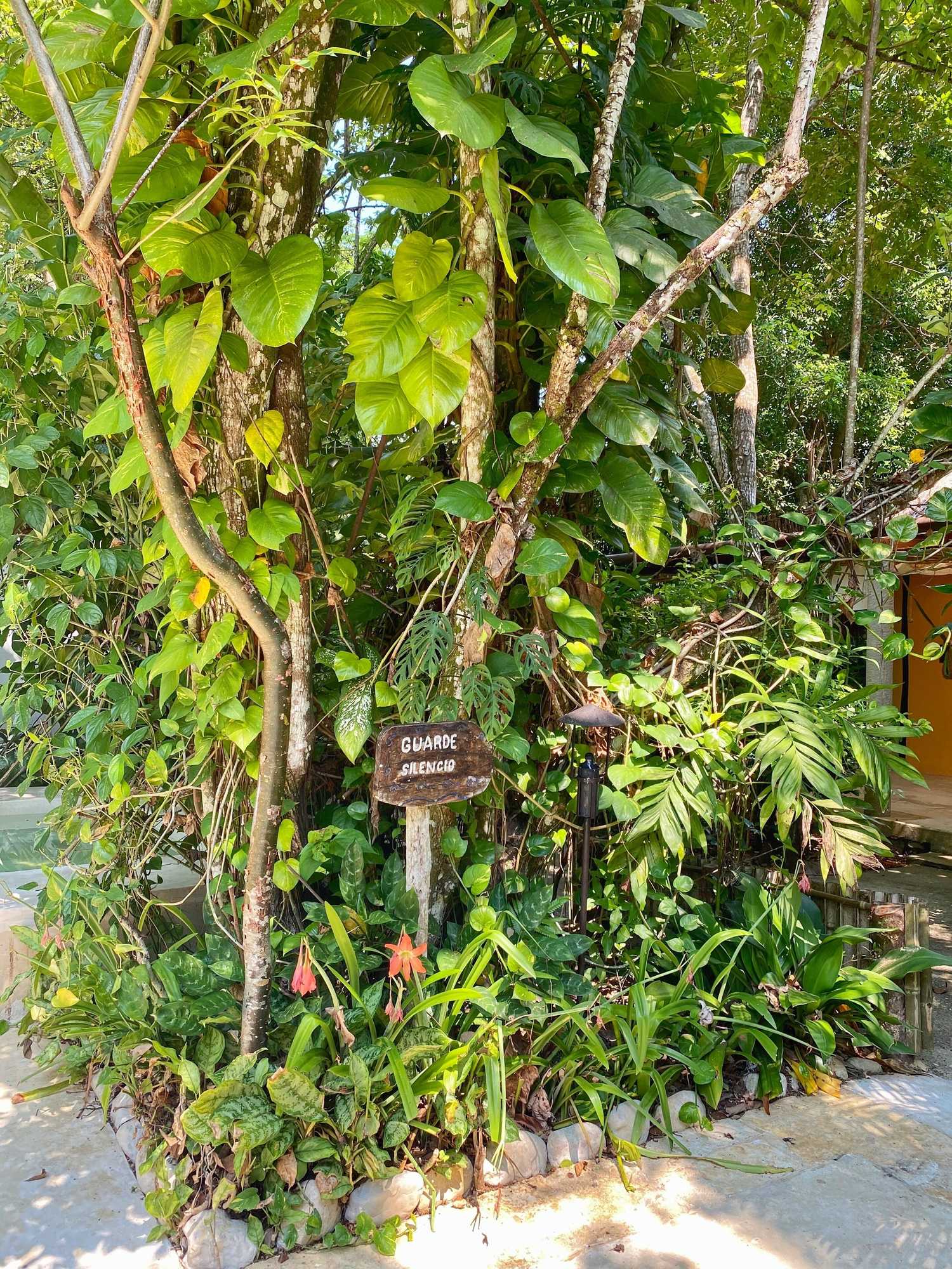 Gift card for Piedra de Agua Hotel Boutique Palenque Gift card for Piedra de Agua Hotel Boutique Palenque