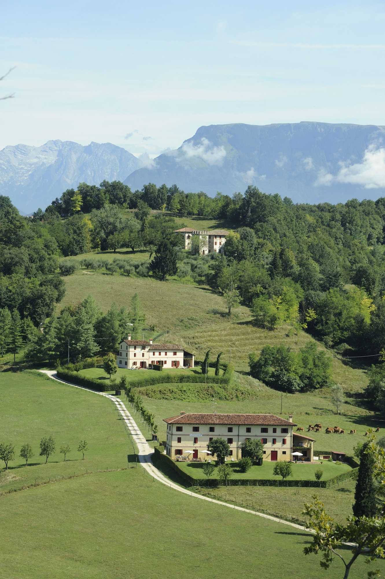 Gift card for Agriturismo Borgoluce Gift card for Agriturismo Borgoluce