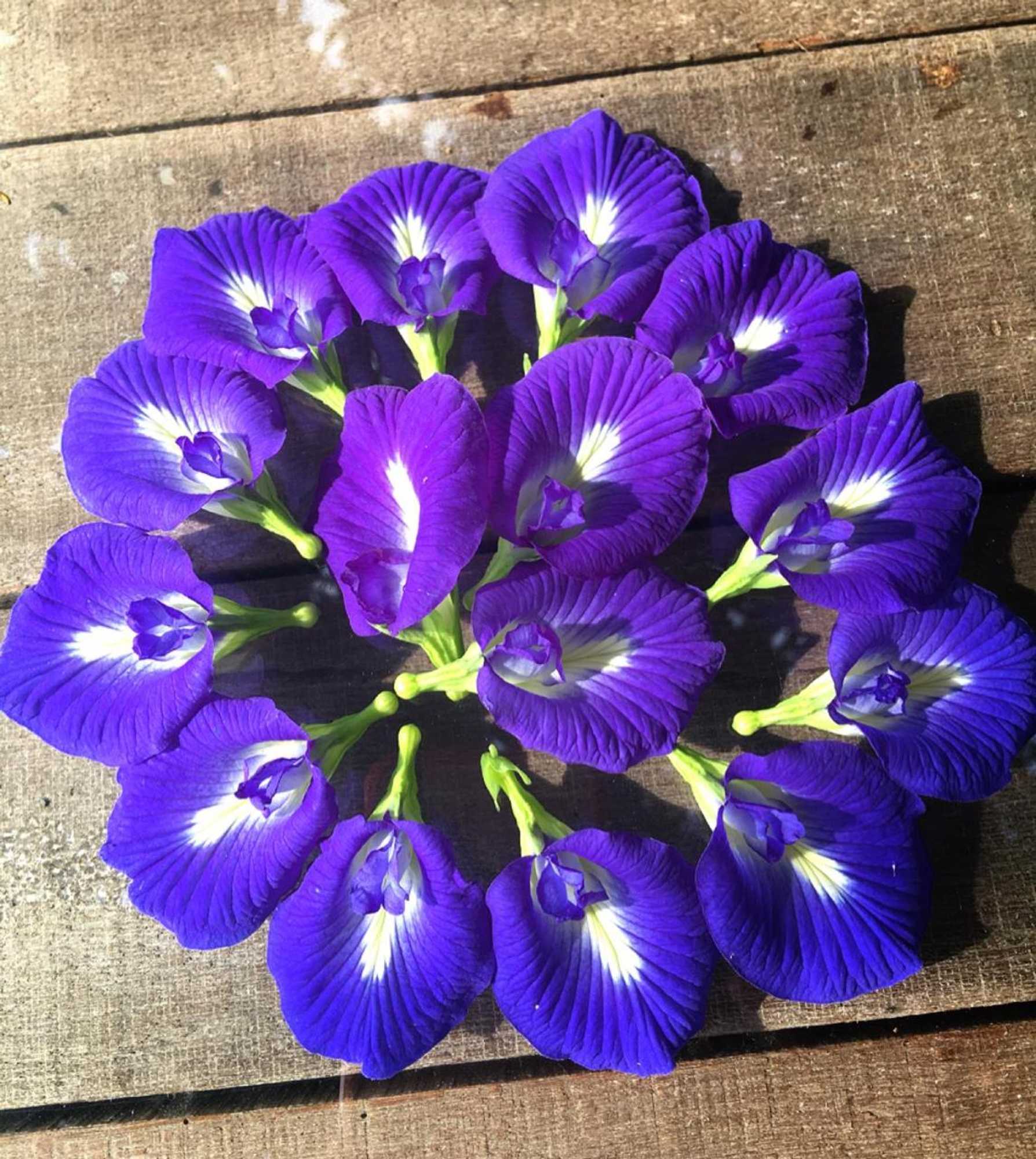 Gift card for Tong He Ren Jia Homestay