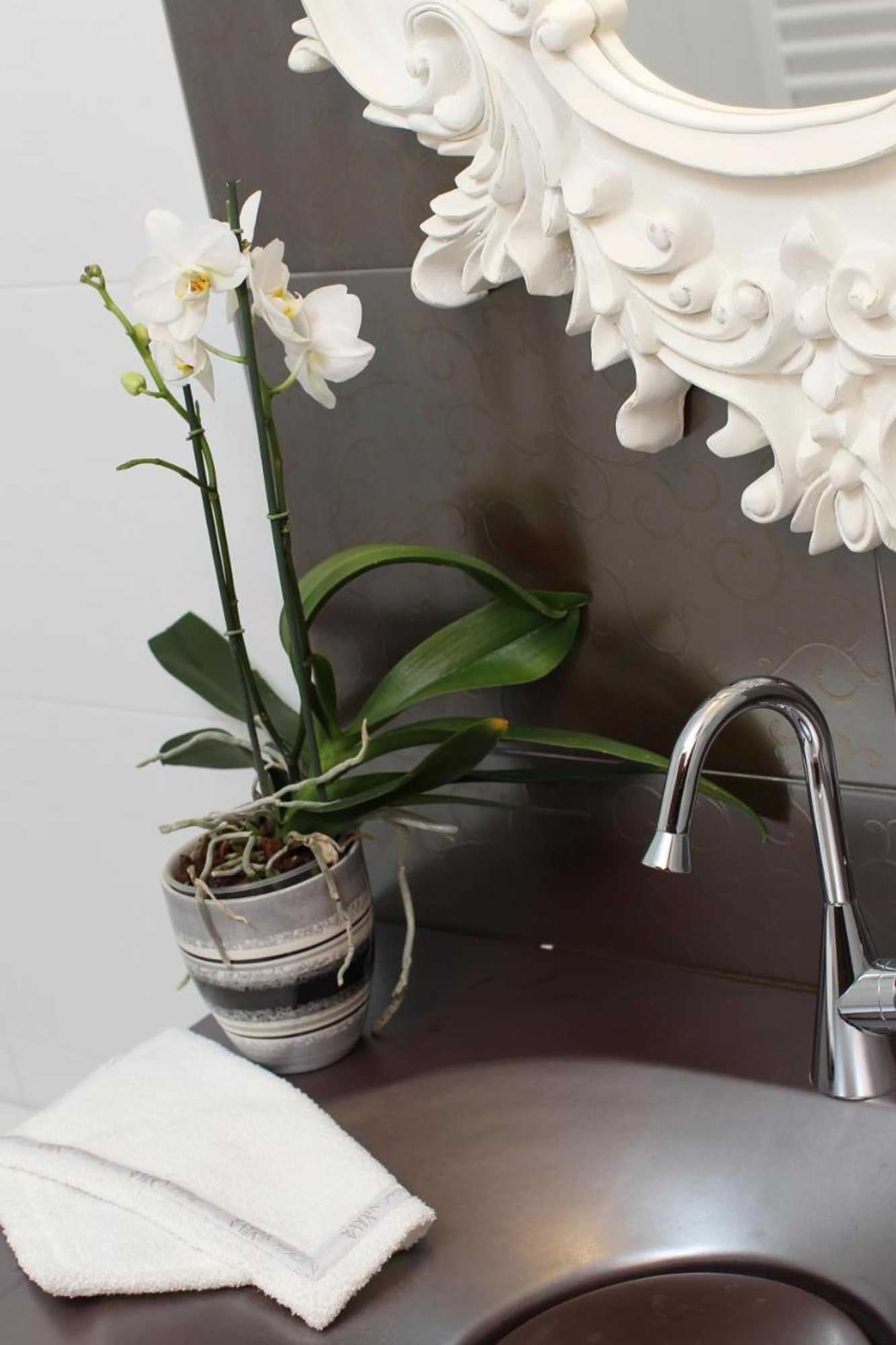 Gift card for Boutique Hotel Vela Vrata