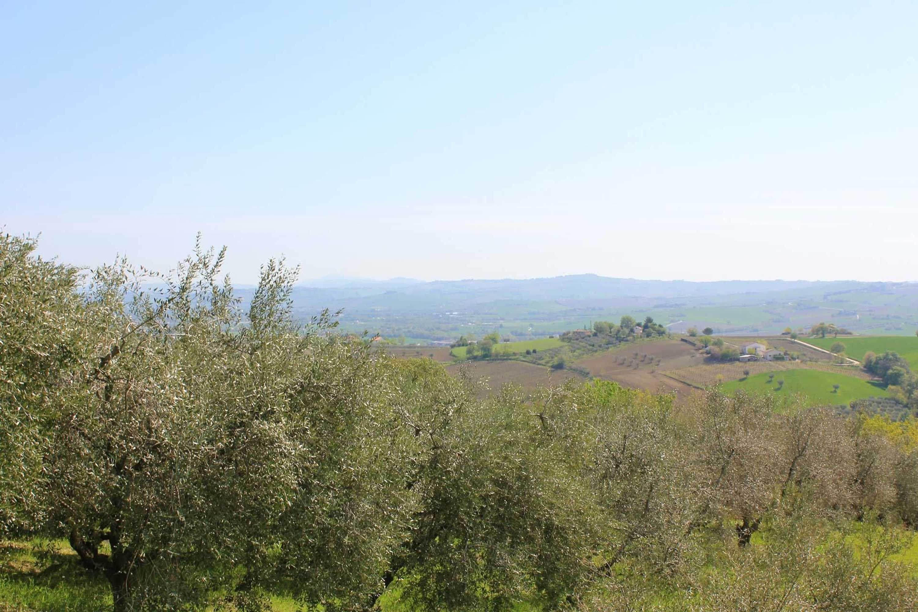 Gift card for Agriturismo La Vecchia Fonte Gift card for Agriturismo La Vecchia Fonte
