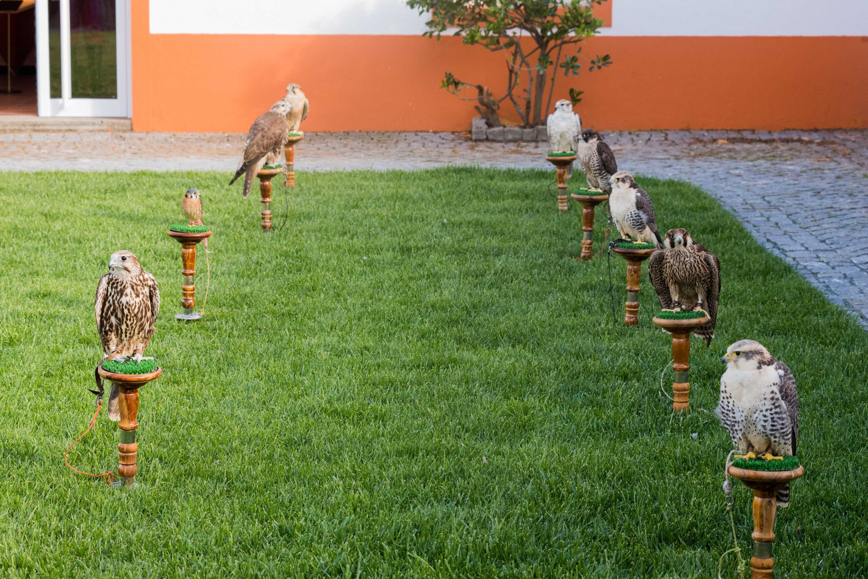 Gift card for Vila Gale Collection Alter Real - Resort Equestre, Conference & Spa