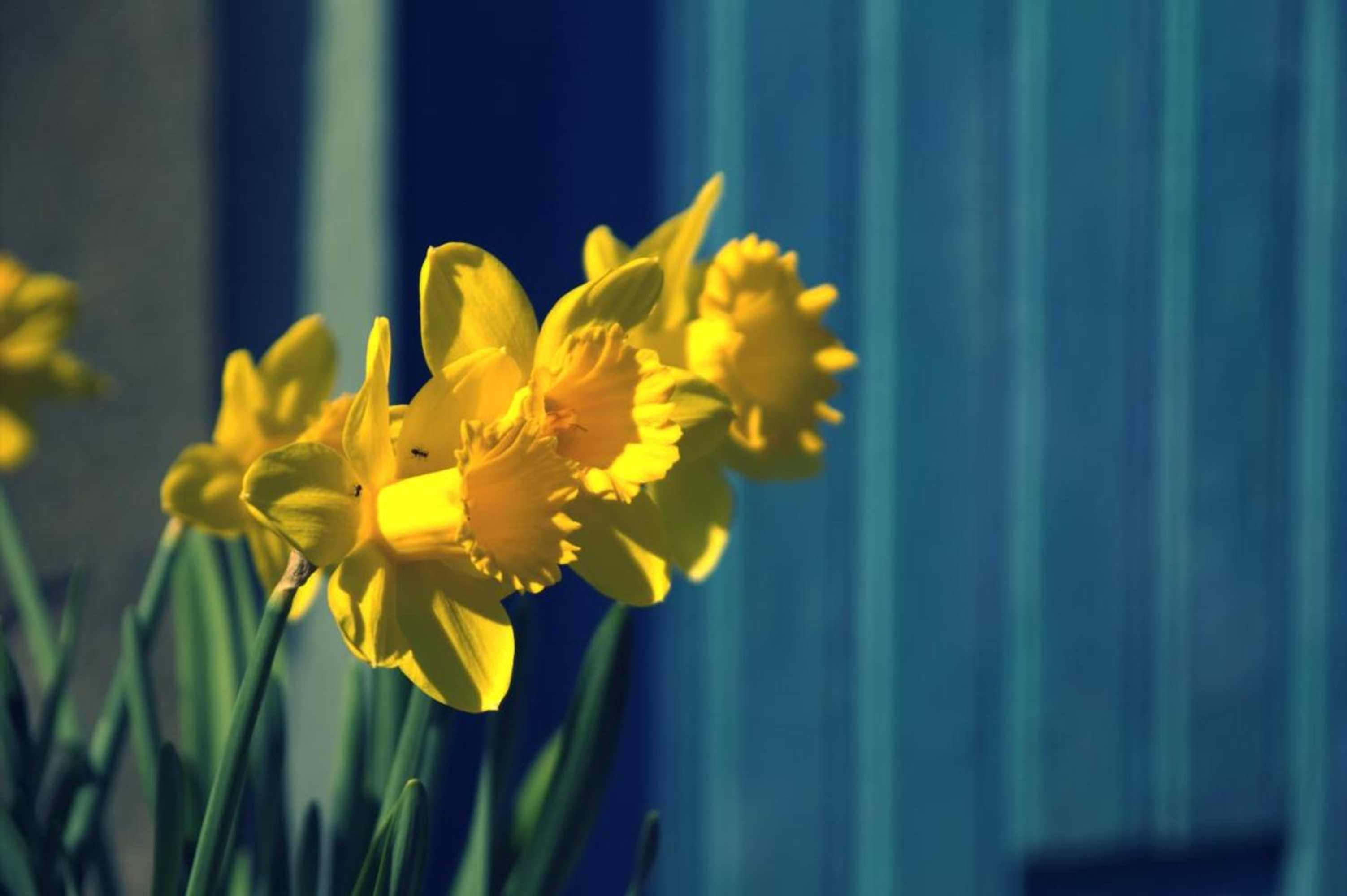 Gift card for B&b Van Beijden