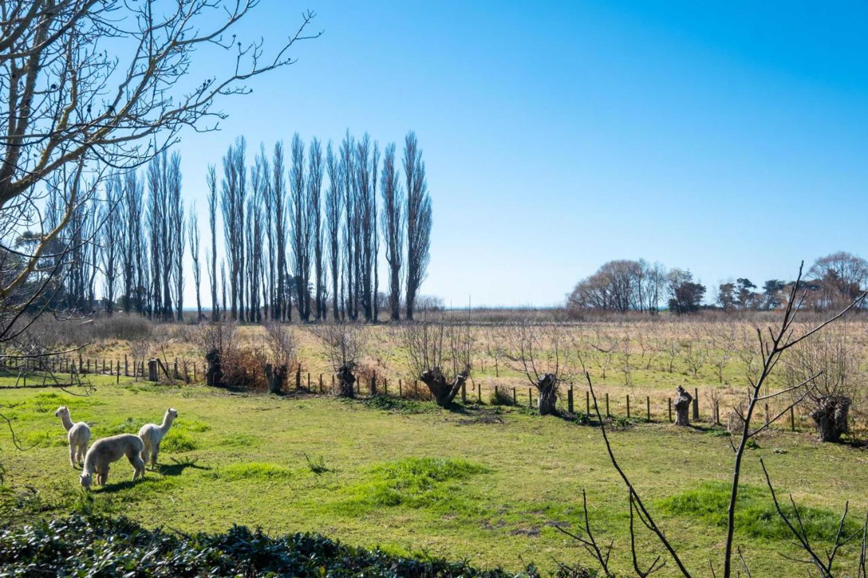 Gift card for Te Awanga Cottages