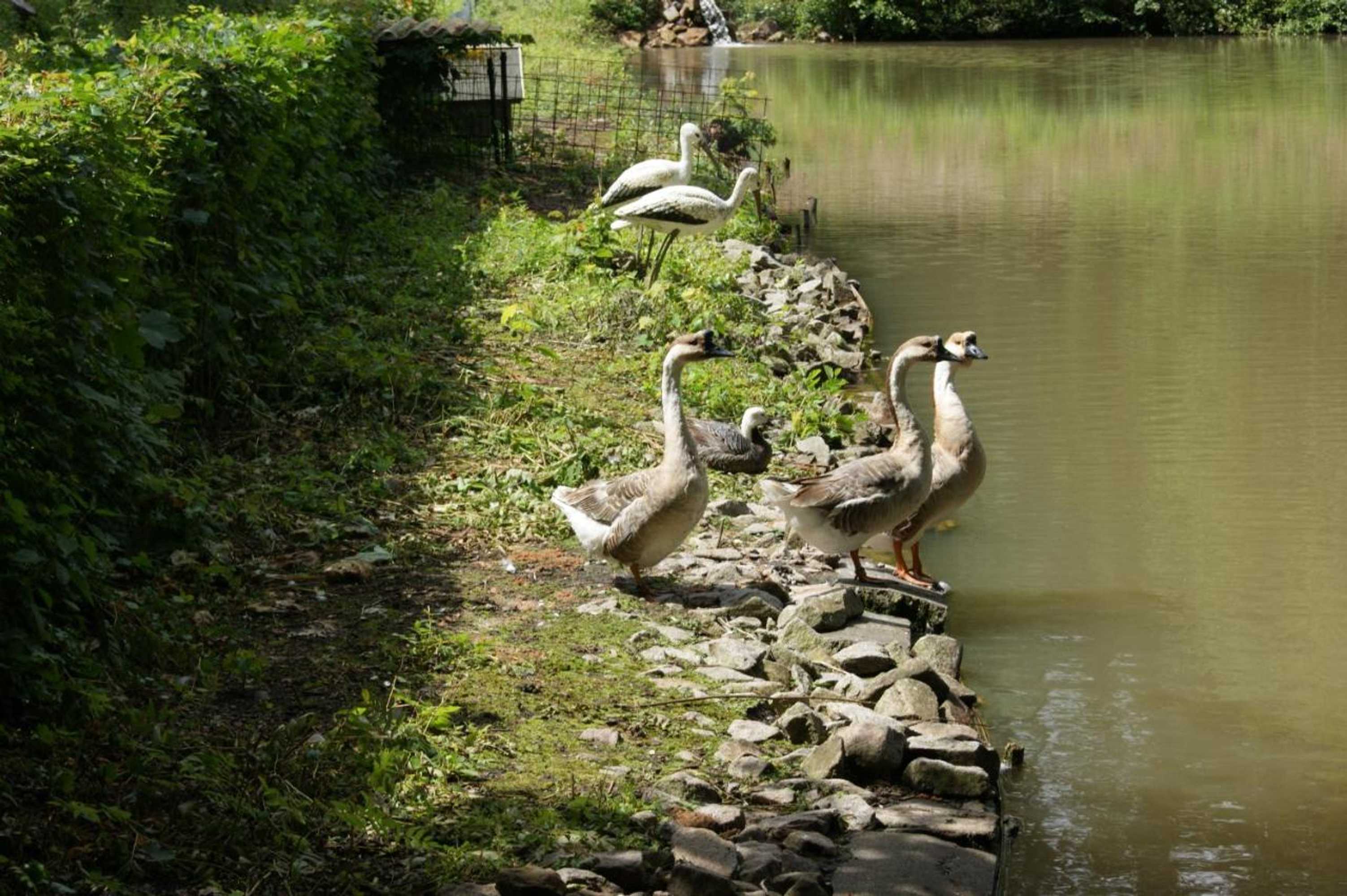 Gift card for Hotel Restaurant Muckensee