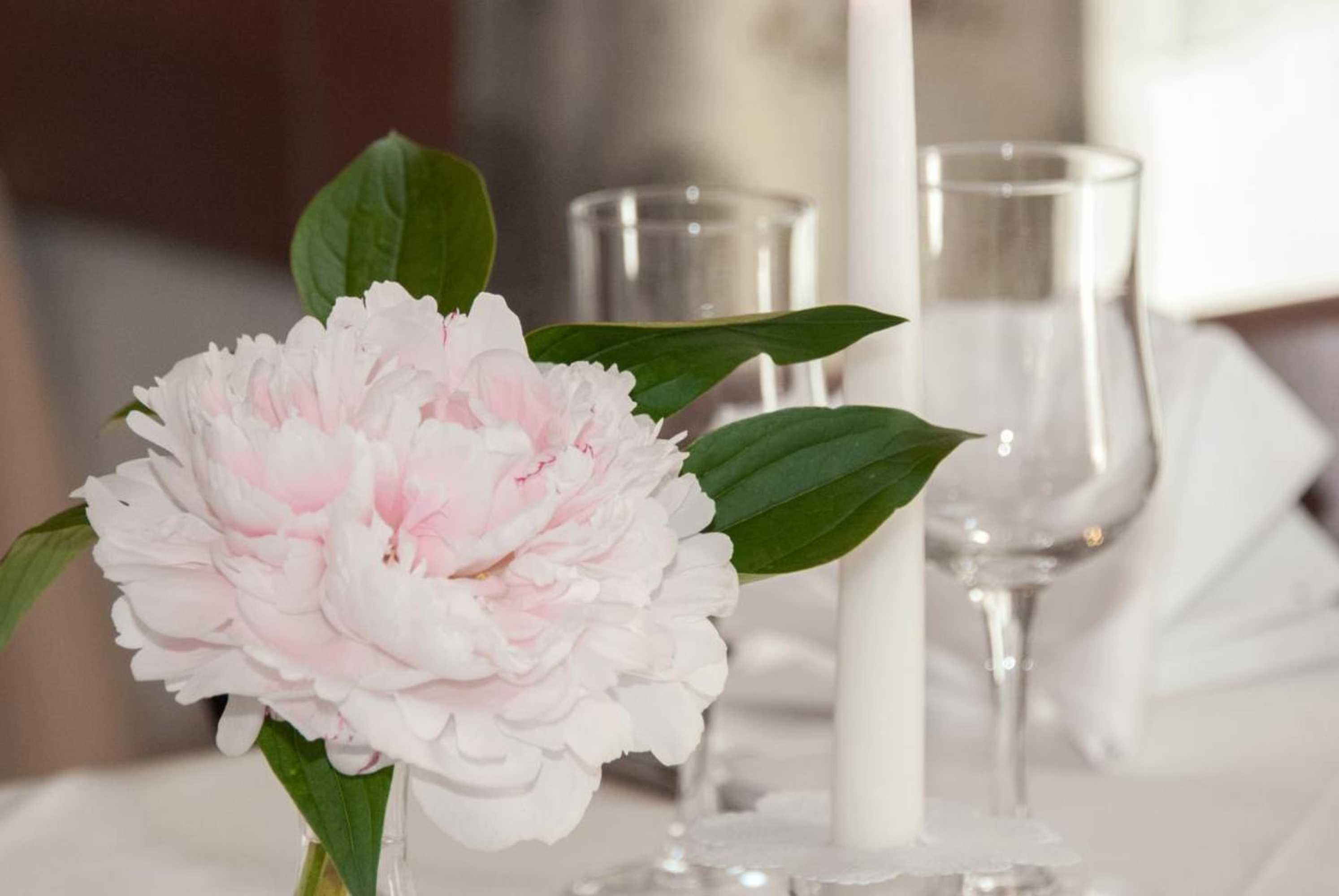 Gift card for Speiserestaurant Traube