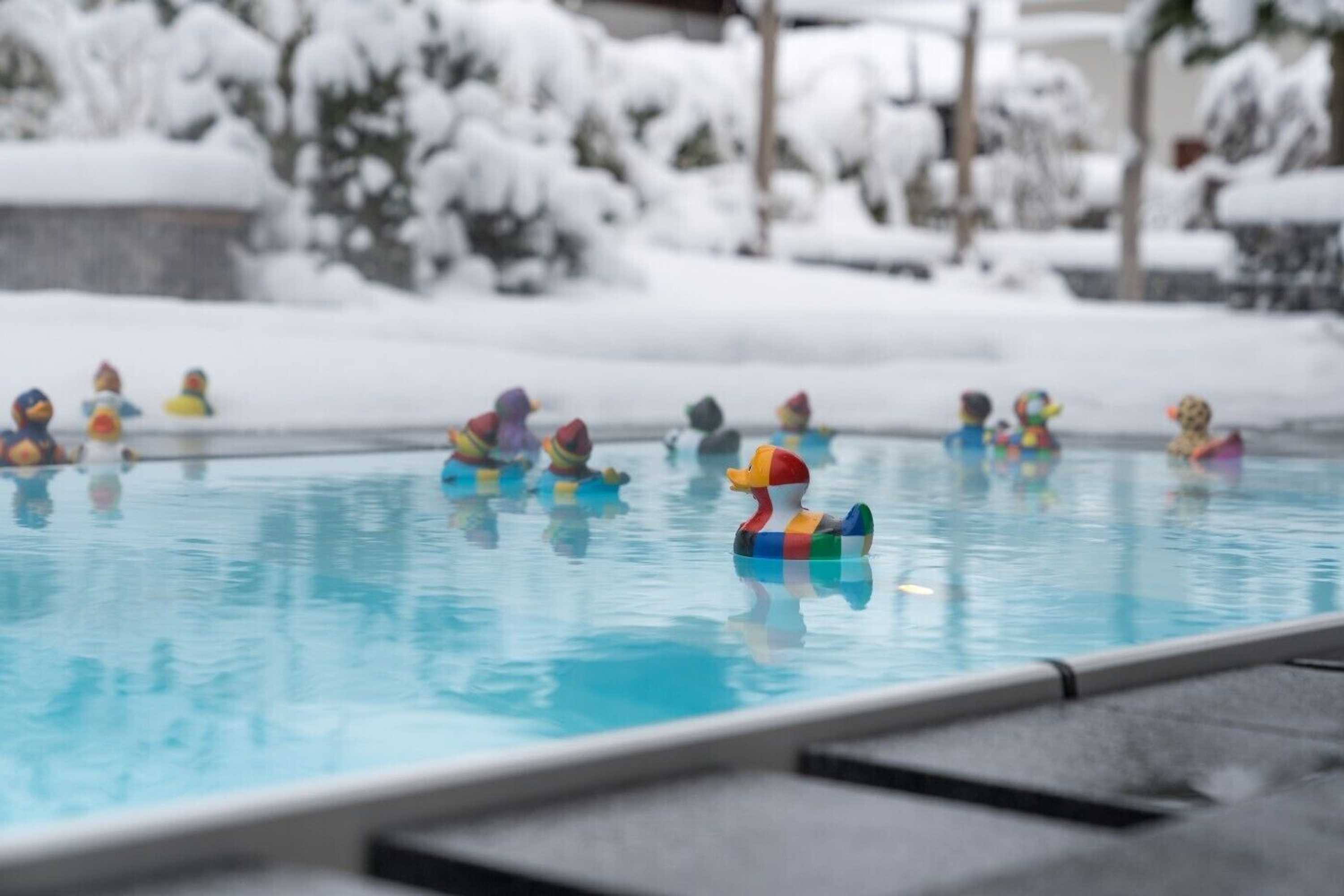 Gift card for Das Freiberg