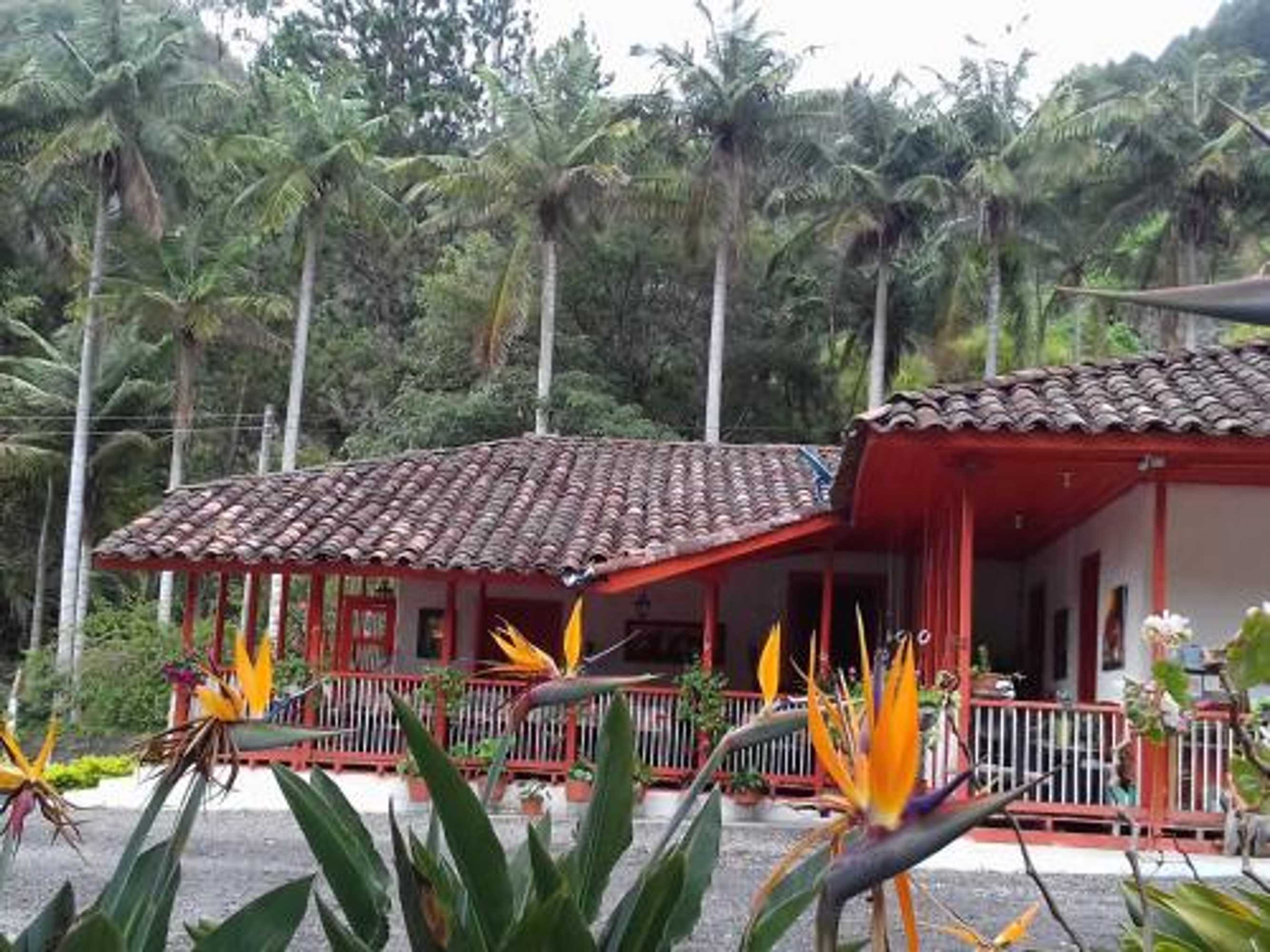 Gift card for Hostal Rio Arabia - Valle De Cocora Hotel Gift card for Hostal Rio Arabia - Valle De Cocora Hotel