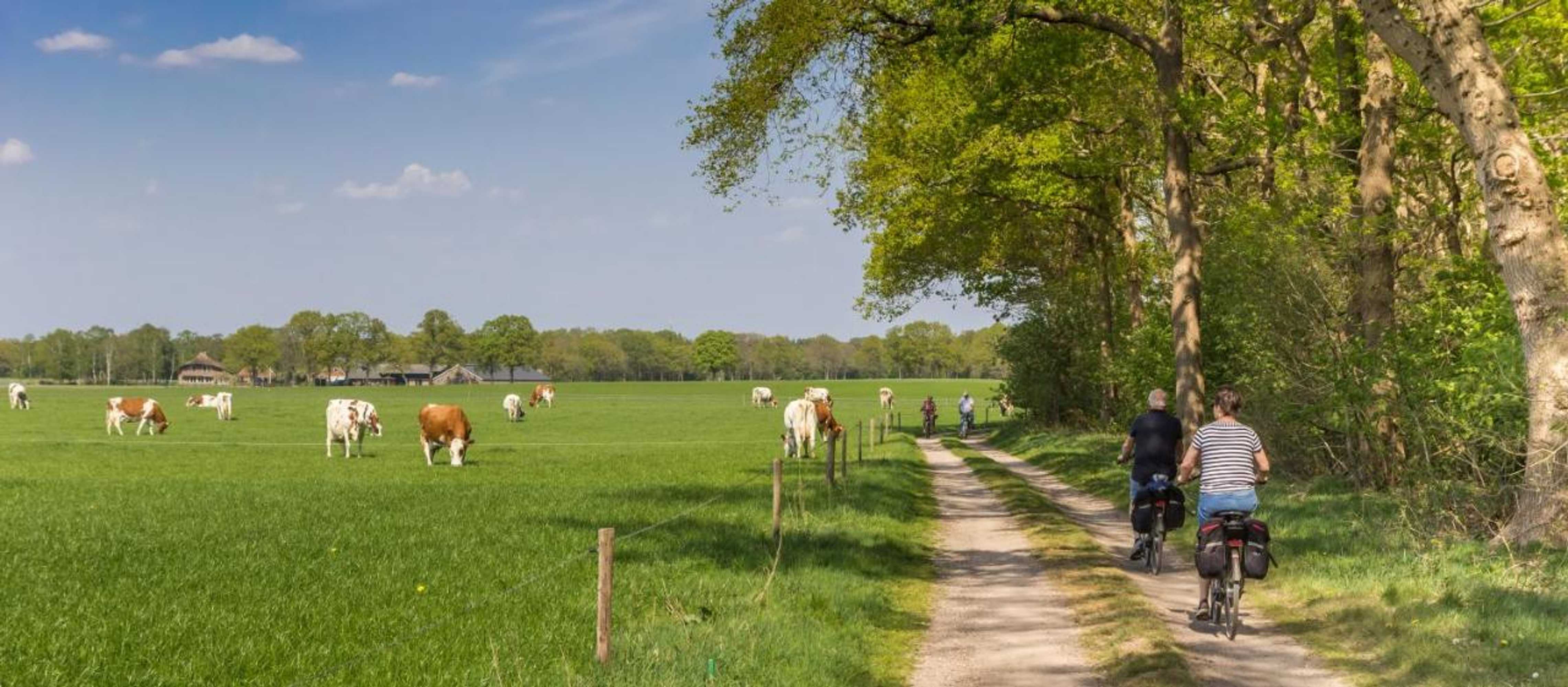 Gift card for Appartementen Bad Boekelo