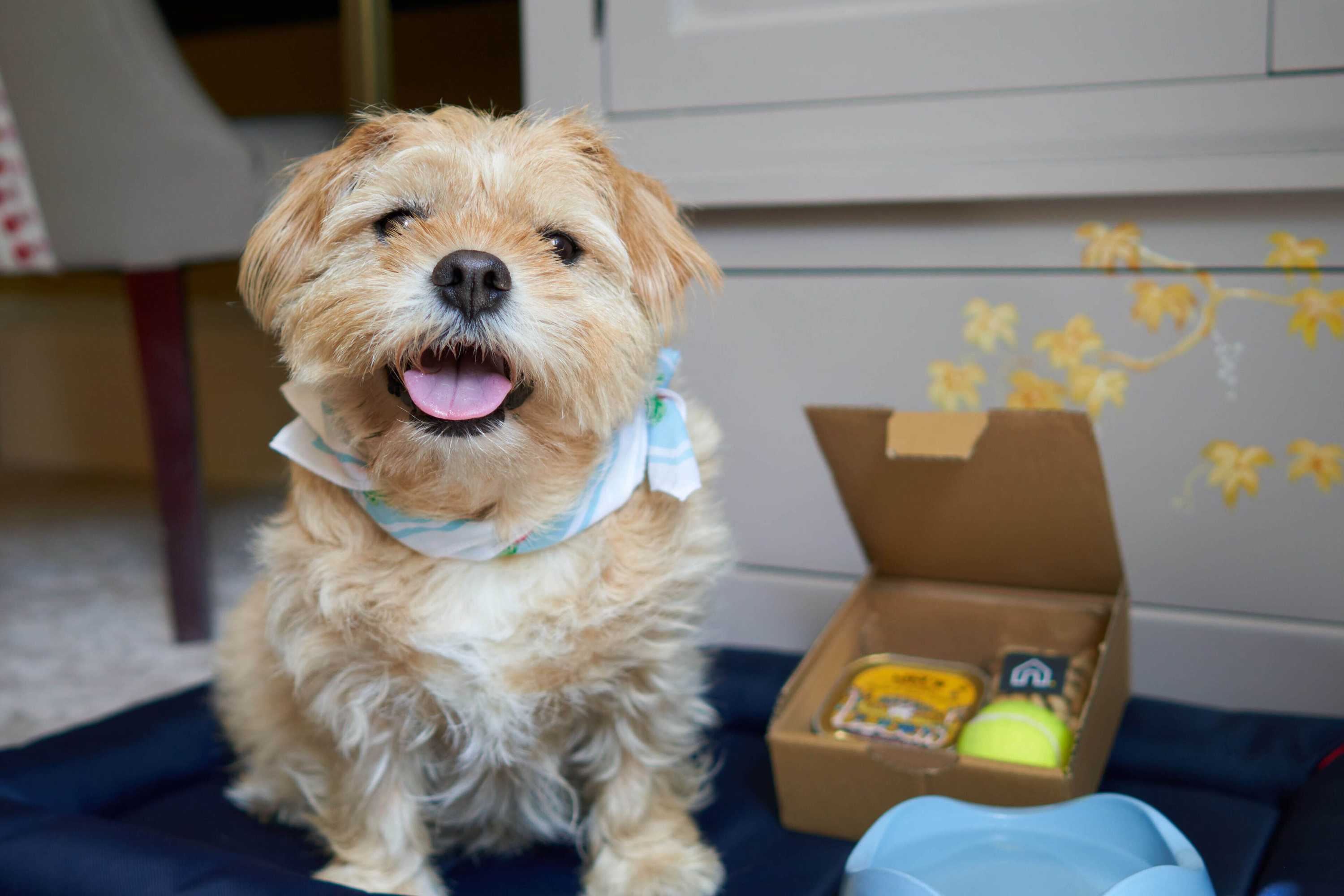 Gift card for The Bird, Bath