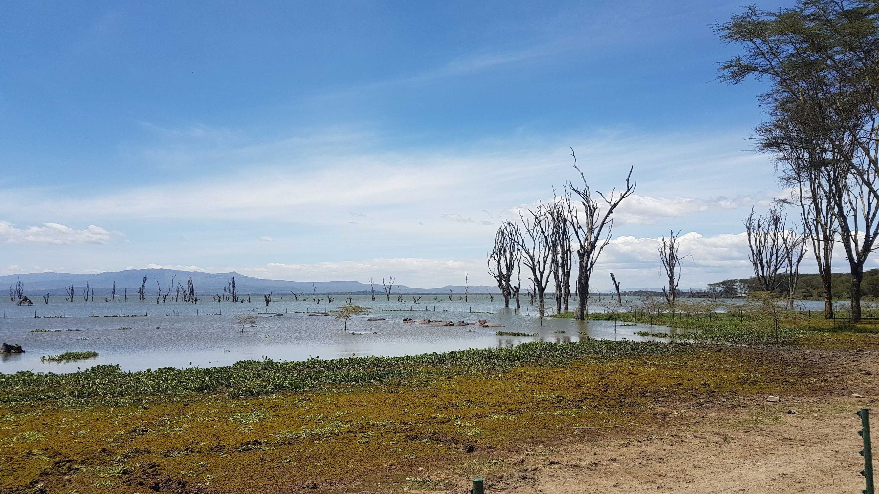 Gift card for Lake Naivasha Resort Gift card for Lake Naivasha Resort
