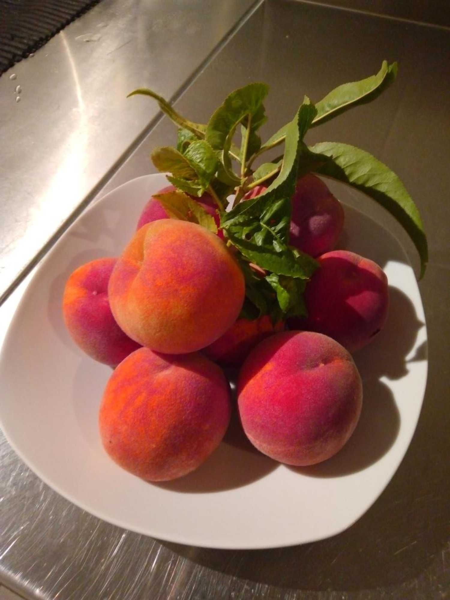 Gift card for Bairro Do Casal