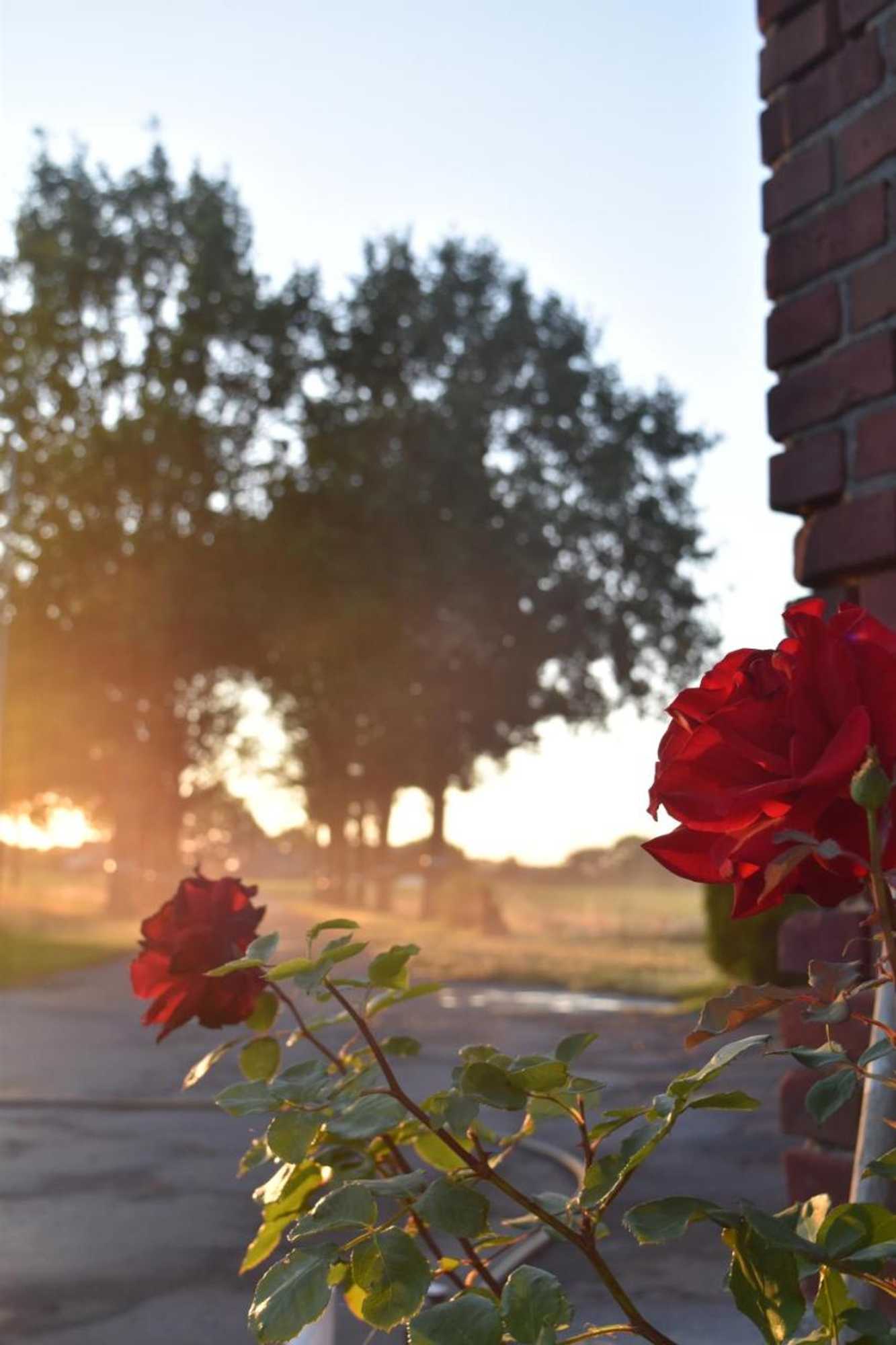 Gift card for Kreativhof Lehmberg