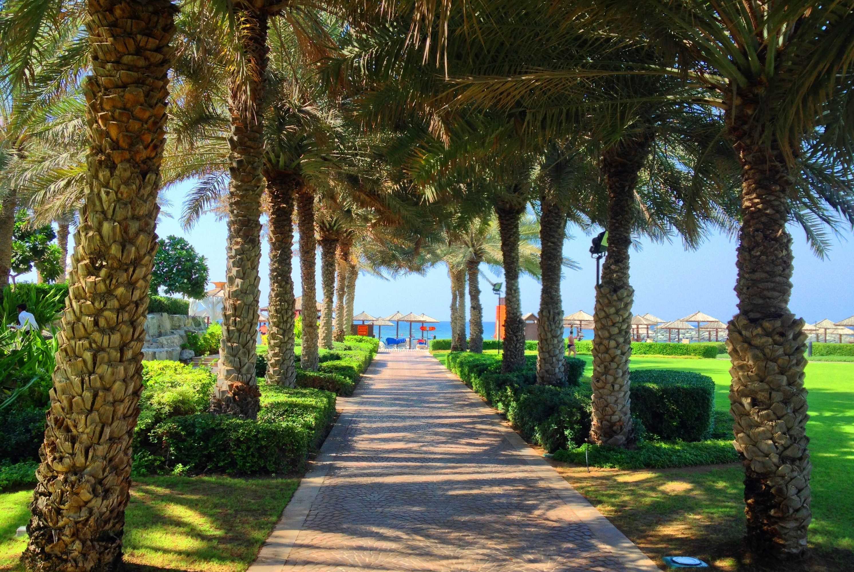 Gift card for Coral Beach Resort - Sharjah Gift card for Coral Beach Resort - Sharjah