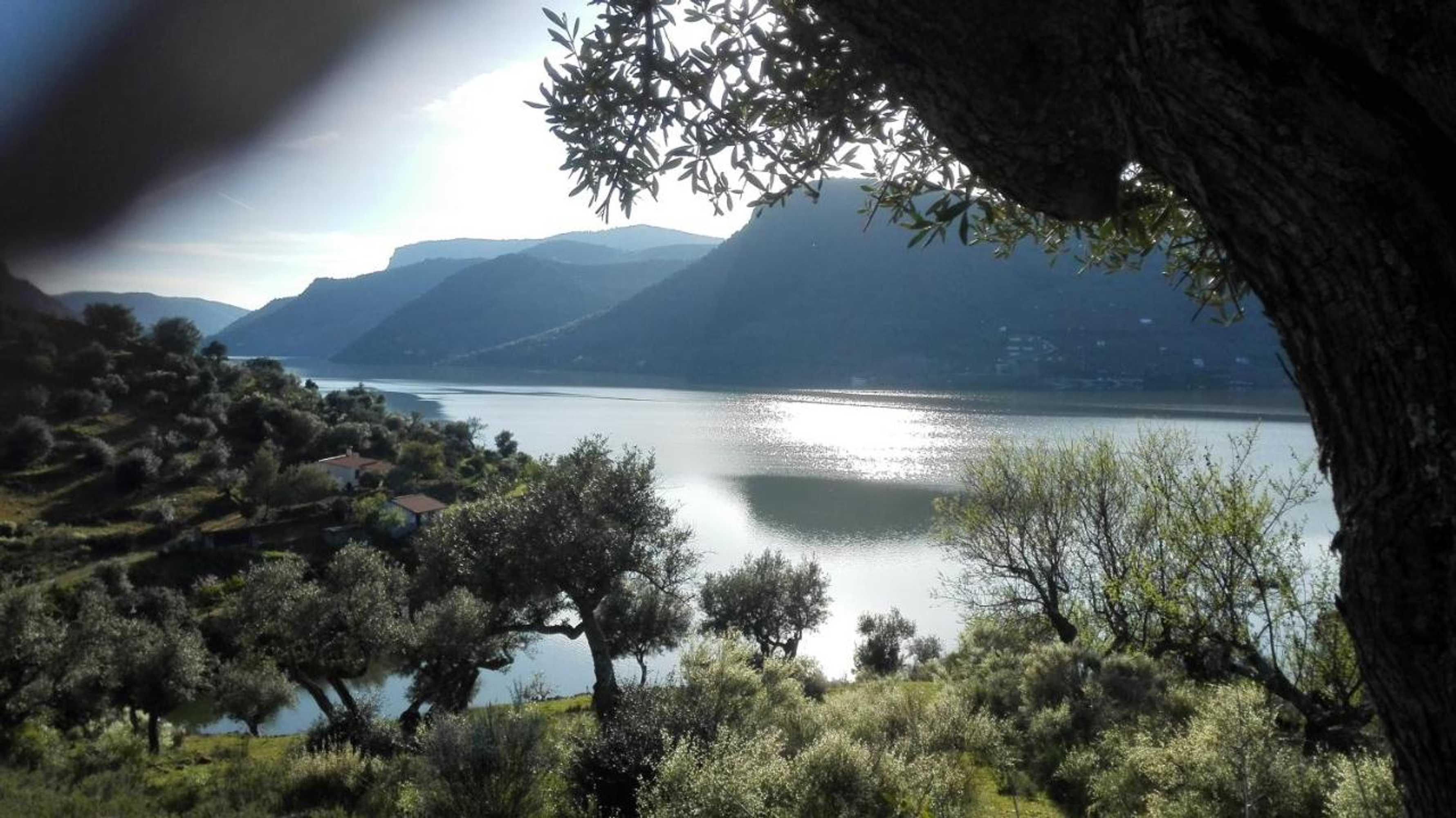 Gift card for Casa Obdulia