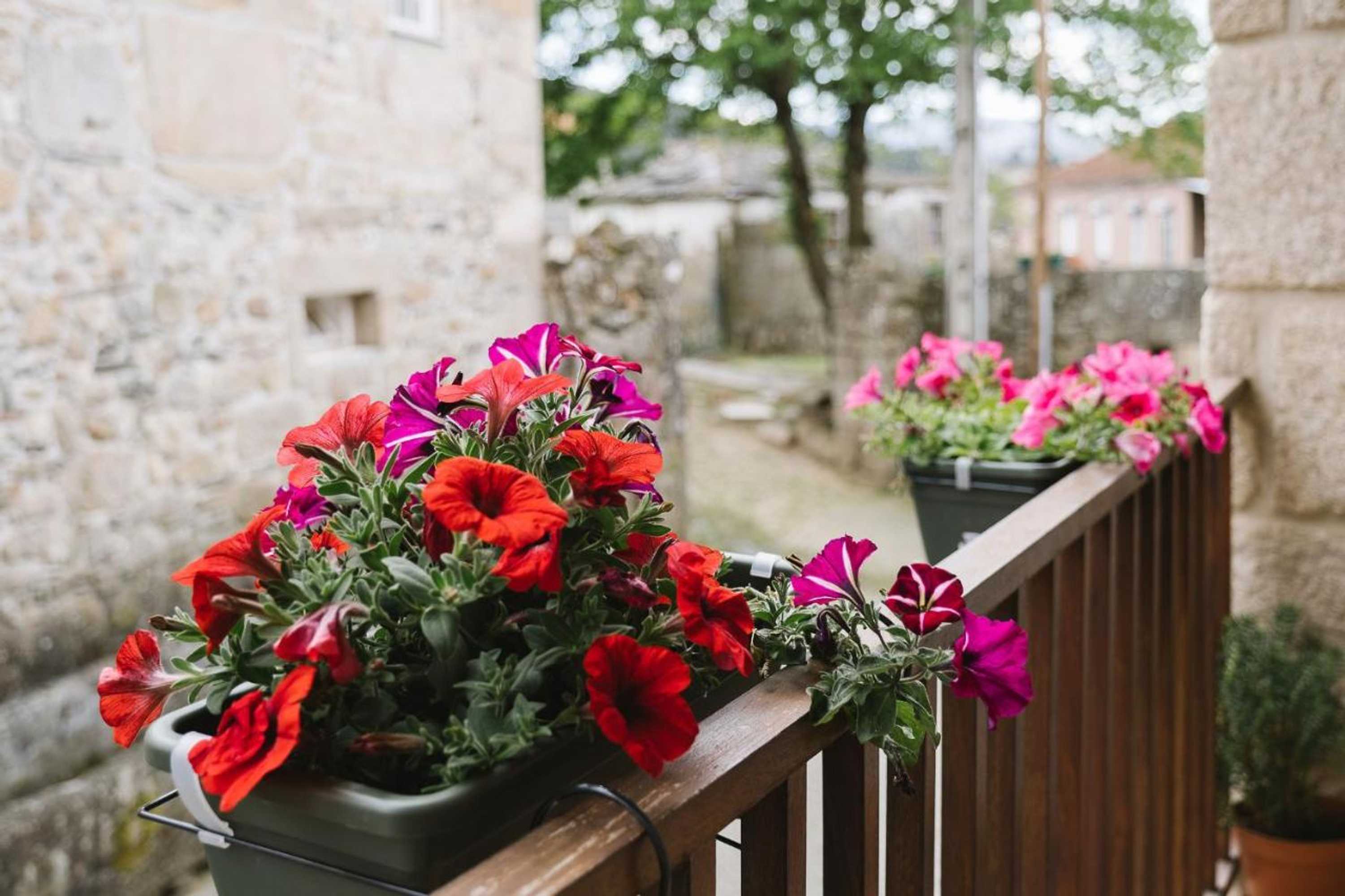 Gift card for Casa do Passadiço - Alvarenga