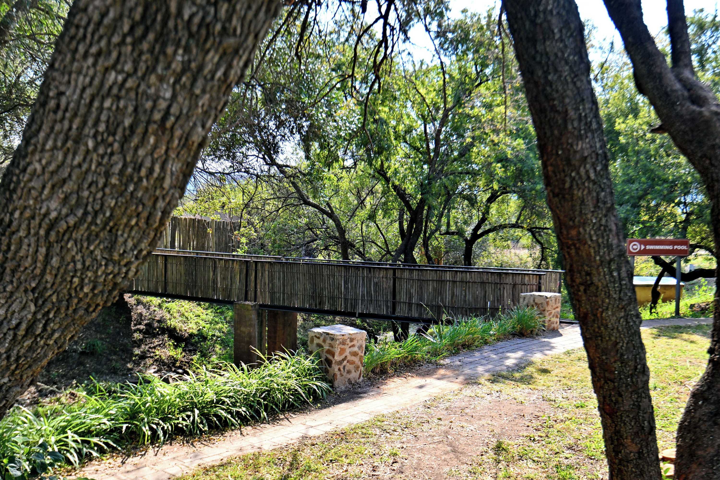 Gift card for Warthogs Bush Lodge Gift card for Warthogs Bush Lodge