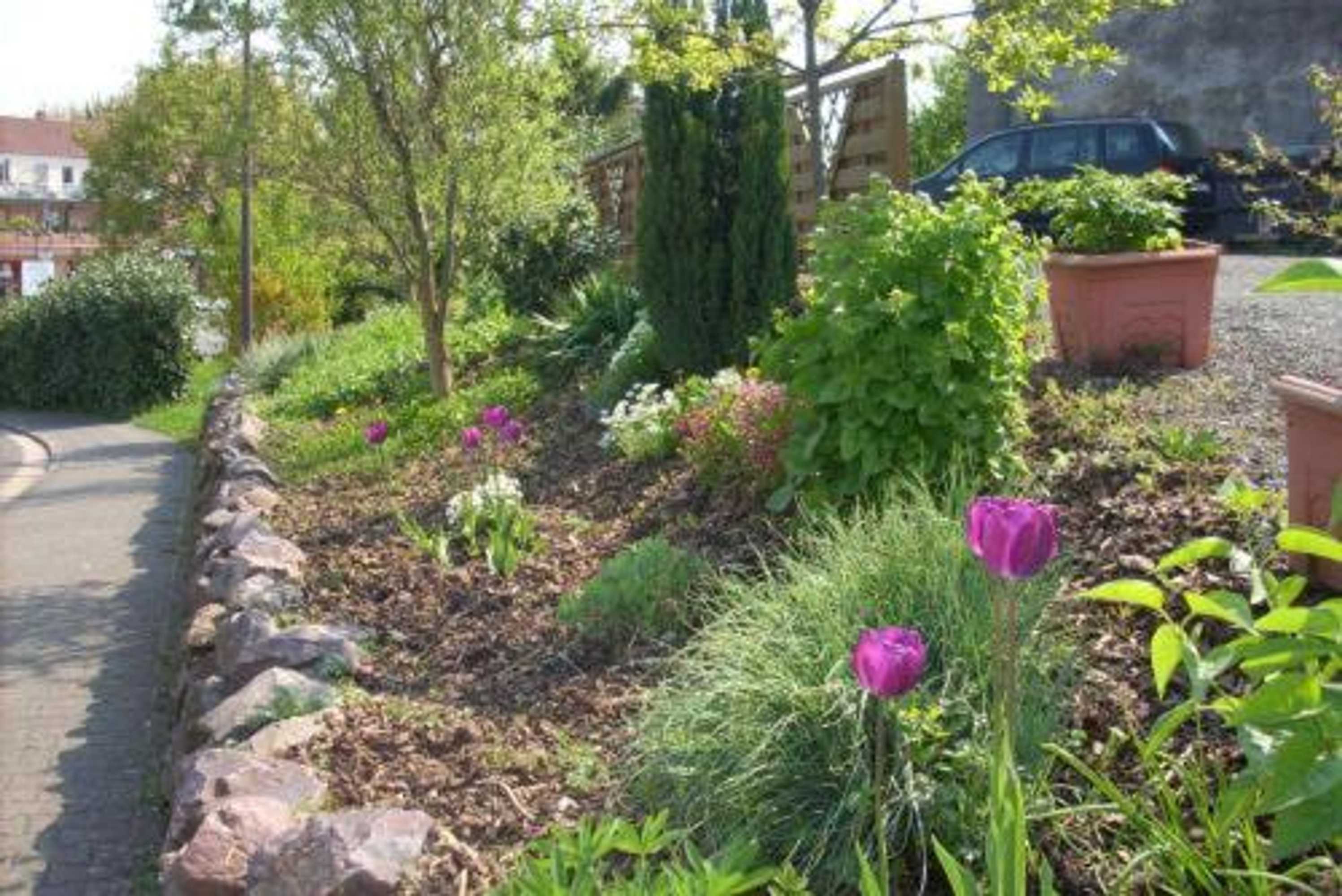 Gift card for Hotel Zur Eiche