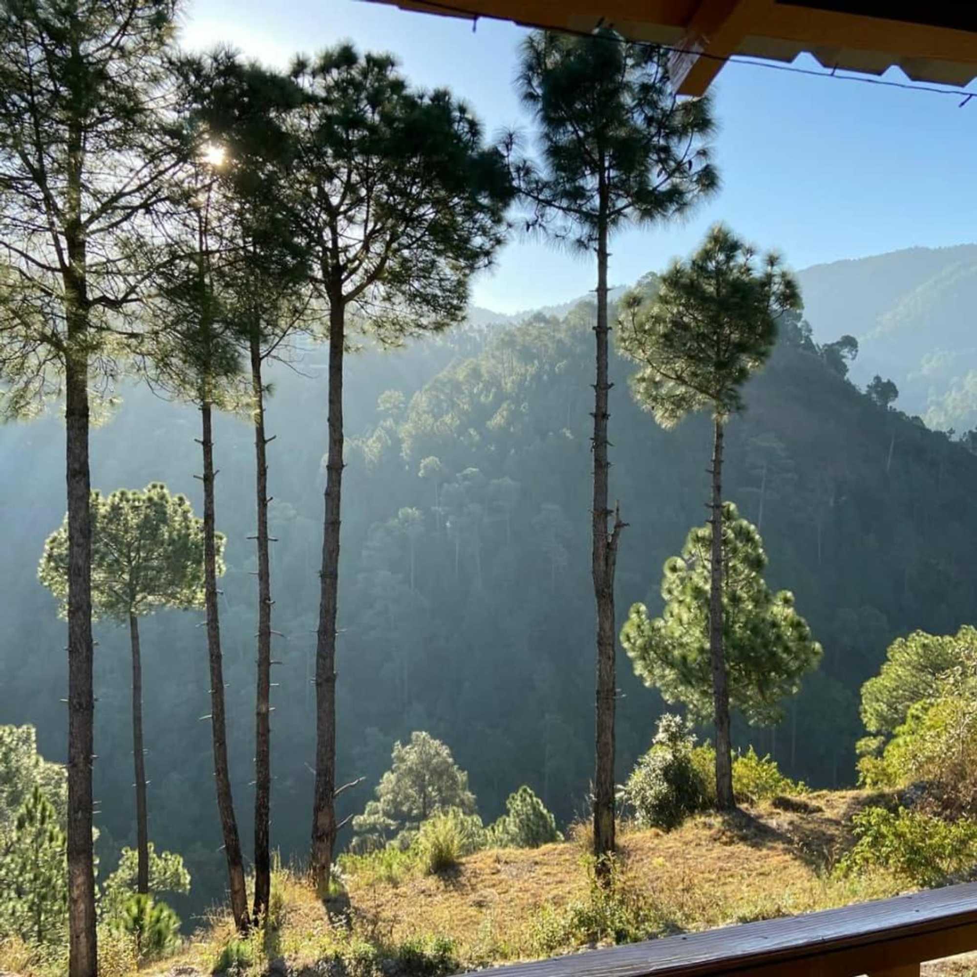 Gift card for Golden Valley Cottages, Chail Gift card for Golden Valley Cottages, Chail