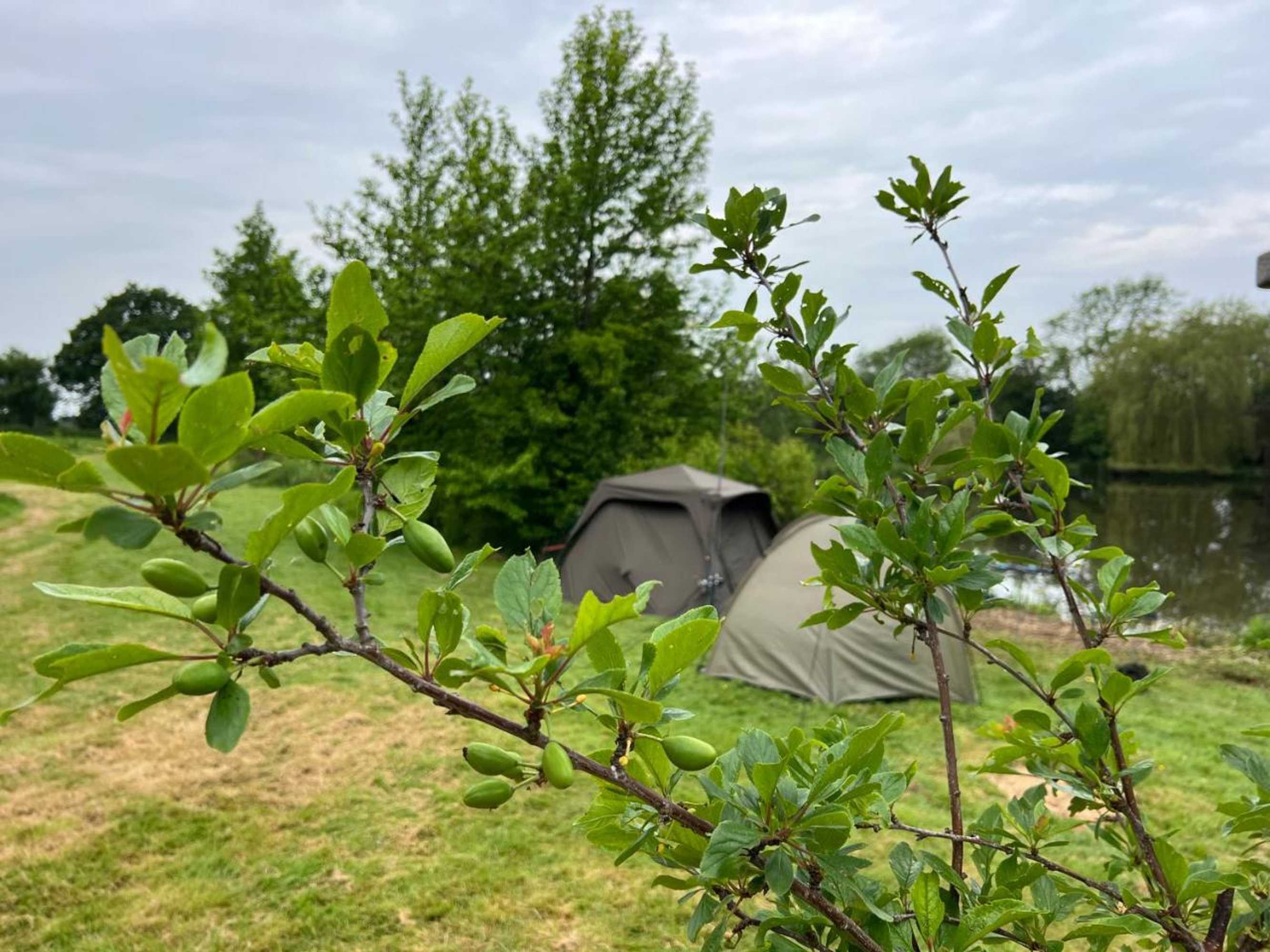 Gift card for Amber Lodge Hickstead-B