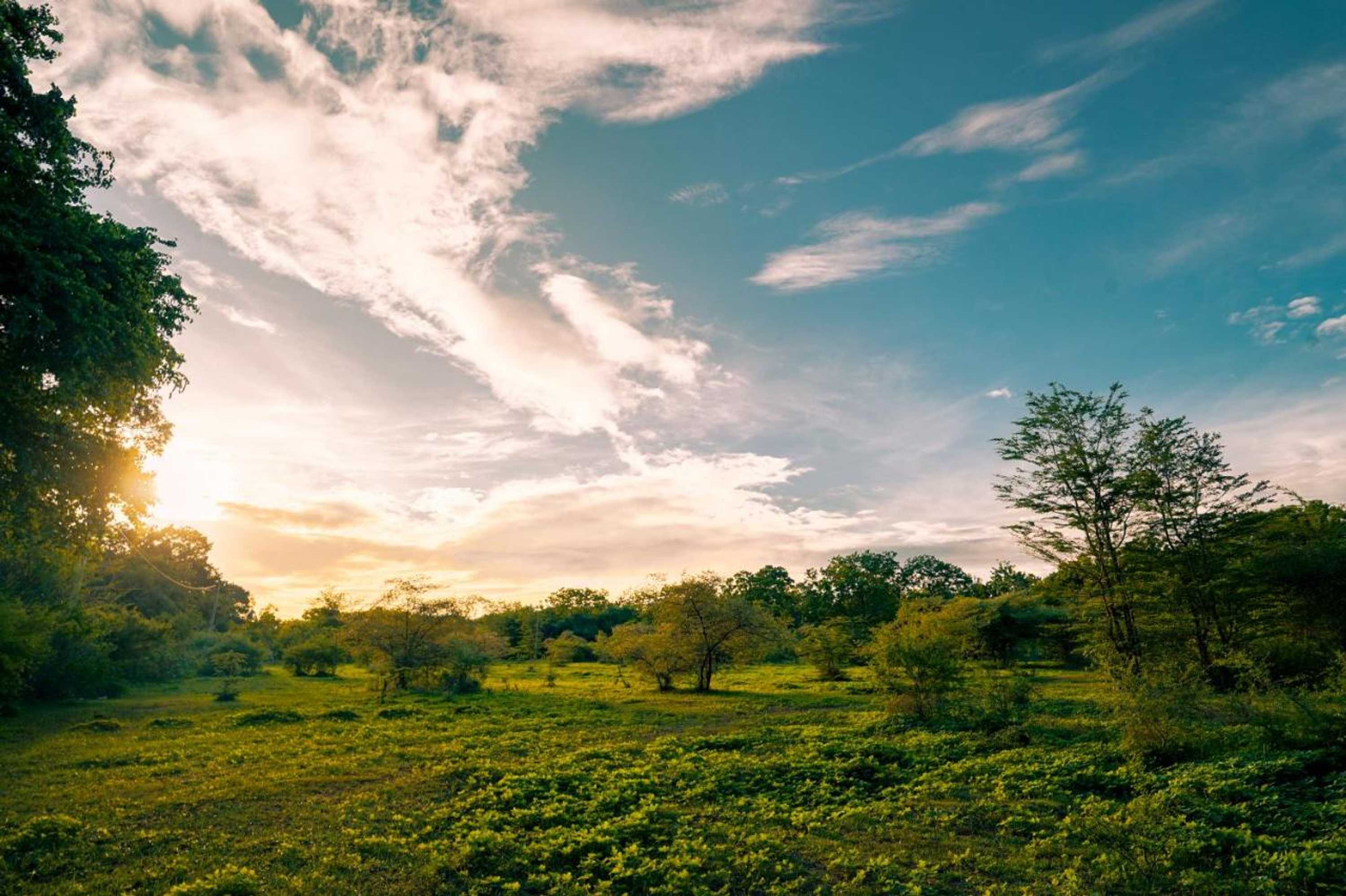 Gift card for Safari Lodge Yala Gift card for Safari Lodge Yala