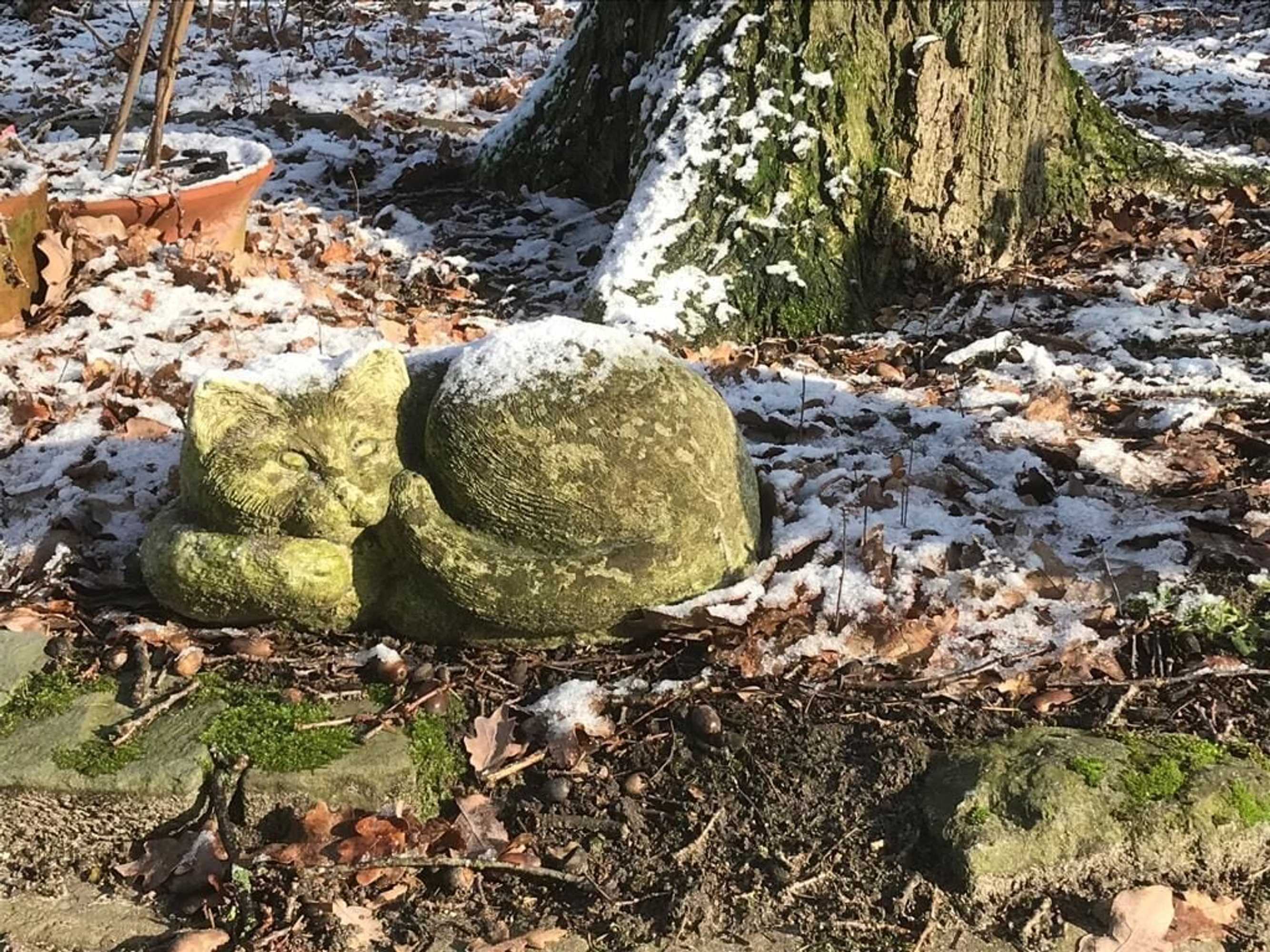 Gift card for Hof Van Eersel