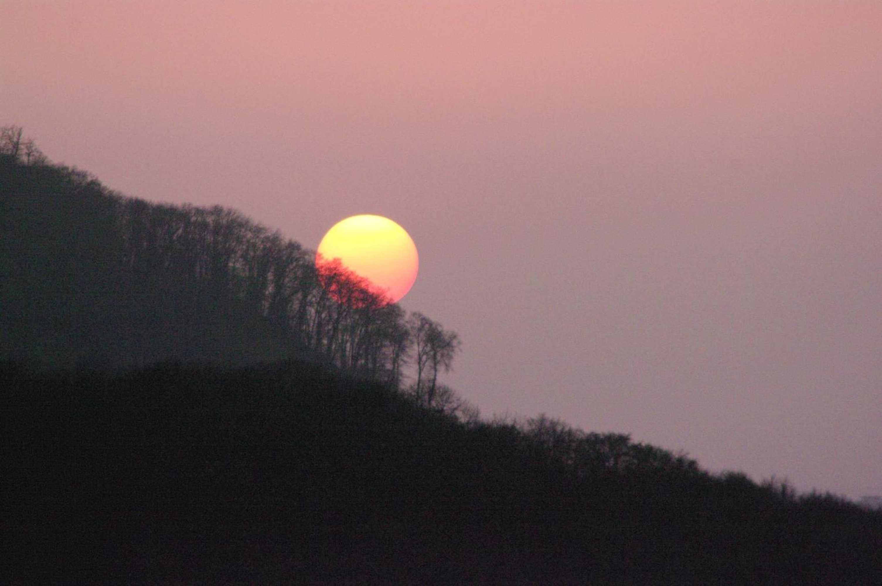 Gift card for B&b Sunnesite Pratteln