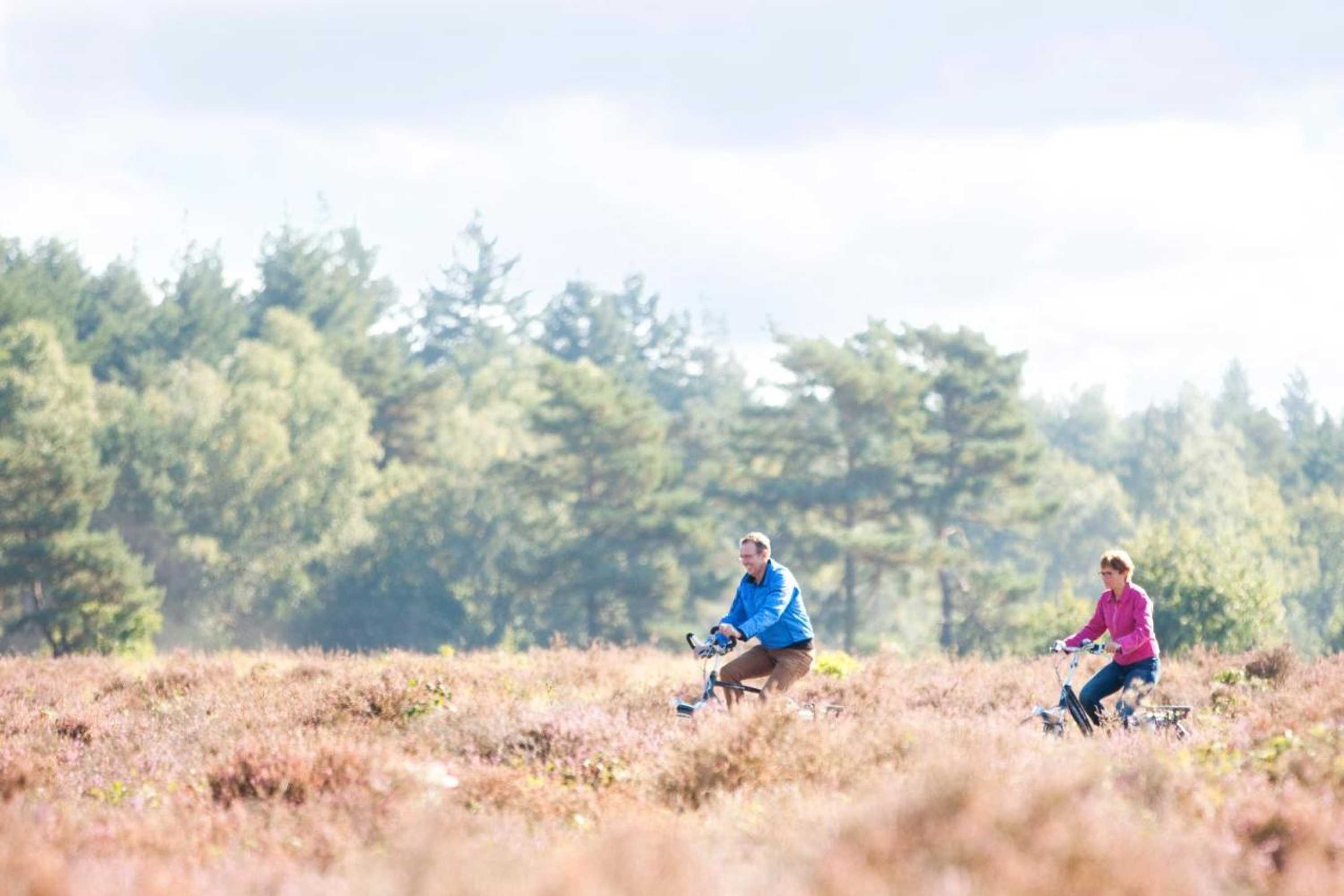 Gift card for Hof Van Putten