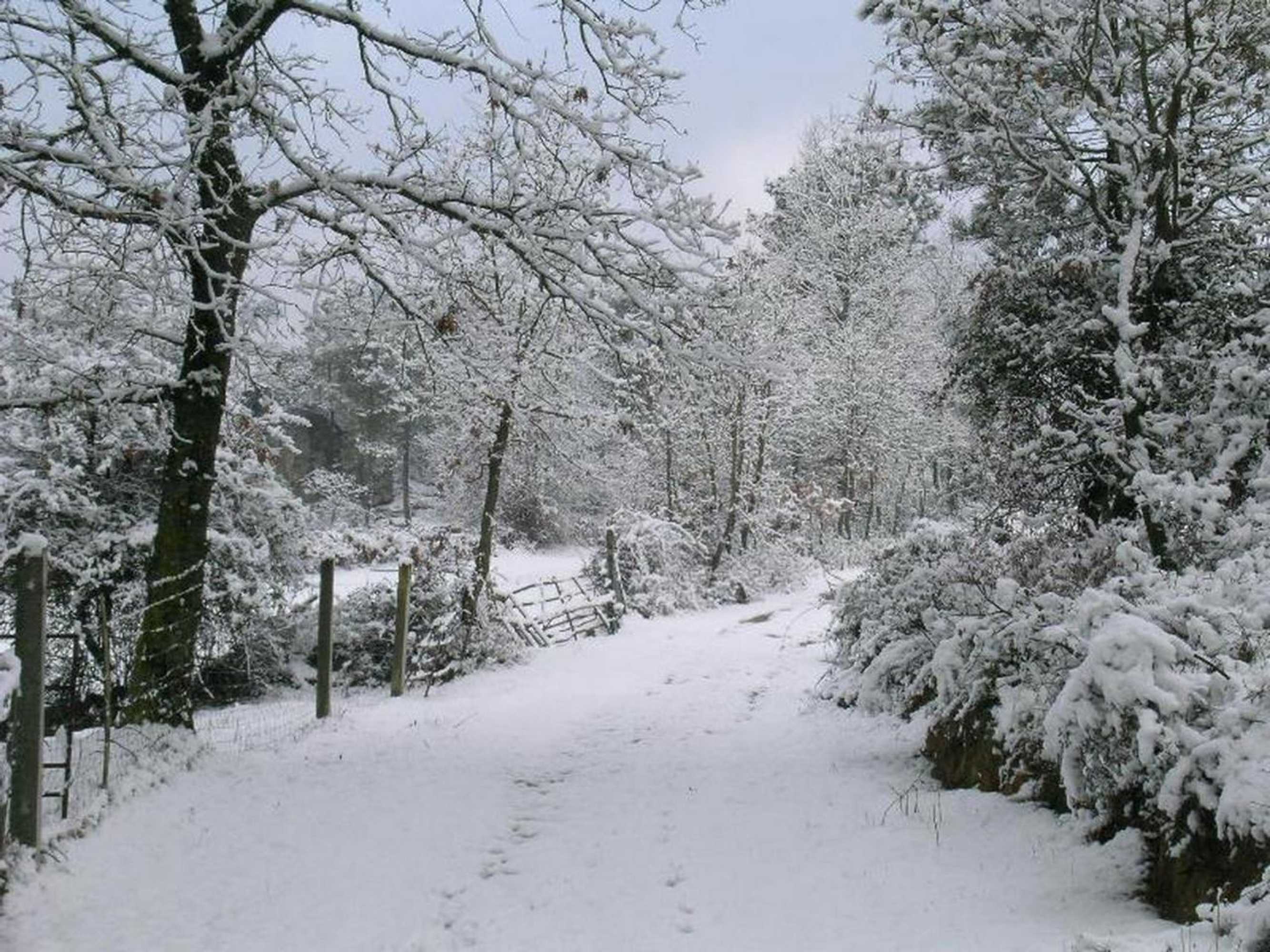 Gift card for Quinta Dos Carvalhais - Serra da Estrela