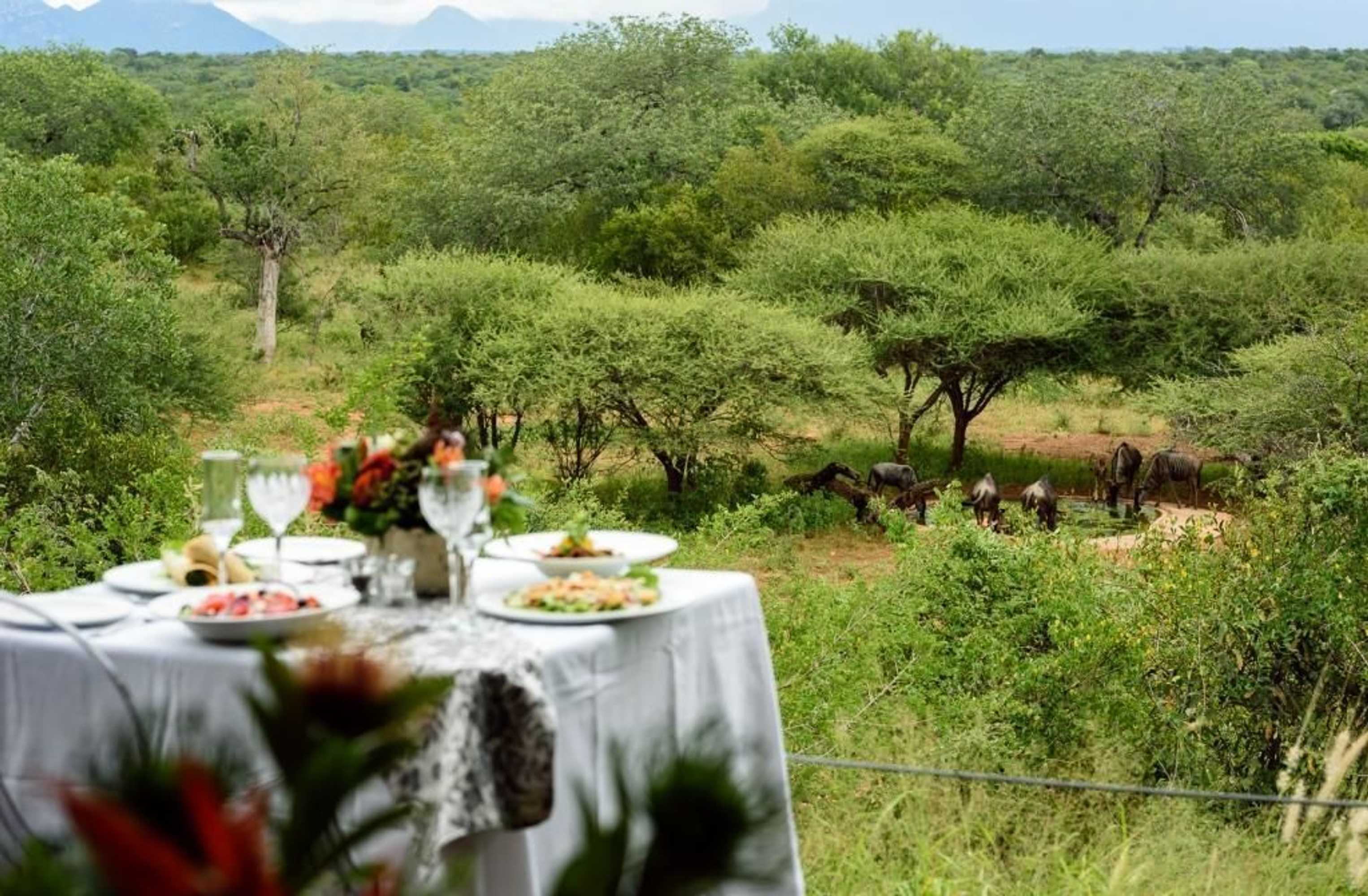 Gift card for Khaya Ndlovu Safari Manor Gift card for Khaya Ndlovu Safari Manor