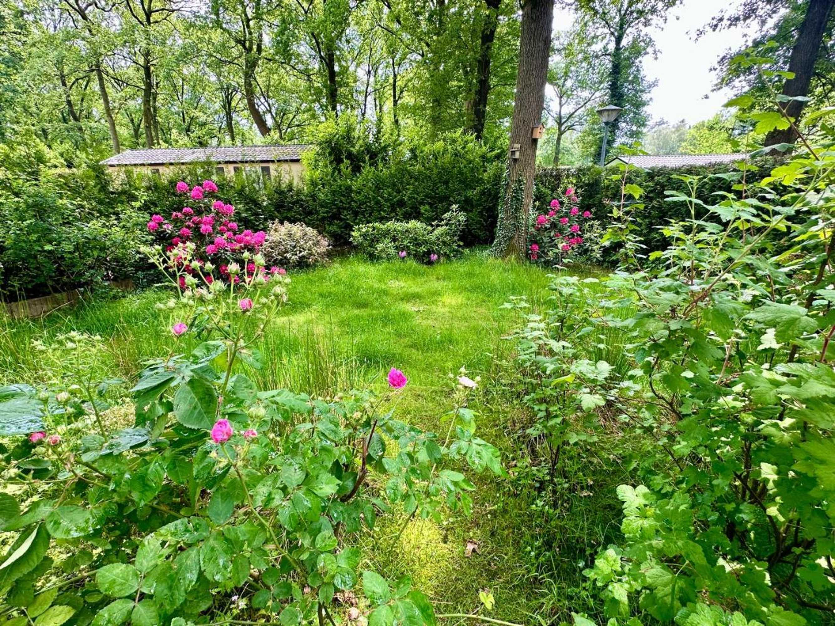 Gift card for Vakantie Veluwe