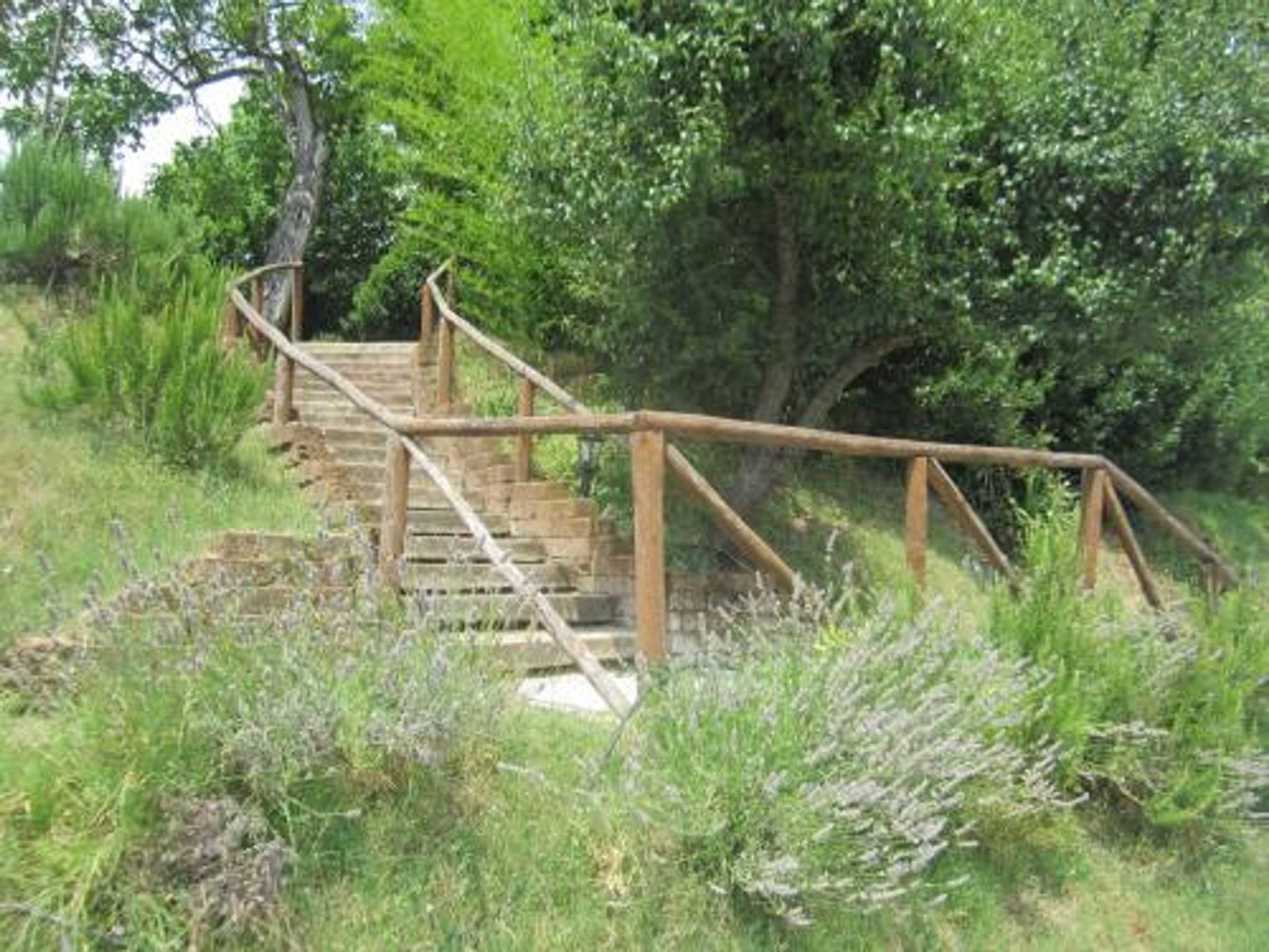 Gift card for Agriturismo le Spighe - Fattoria Bertaccini Gift card for Agriturismo le Spighe - Fattoria Bertaccini