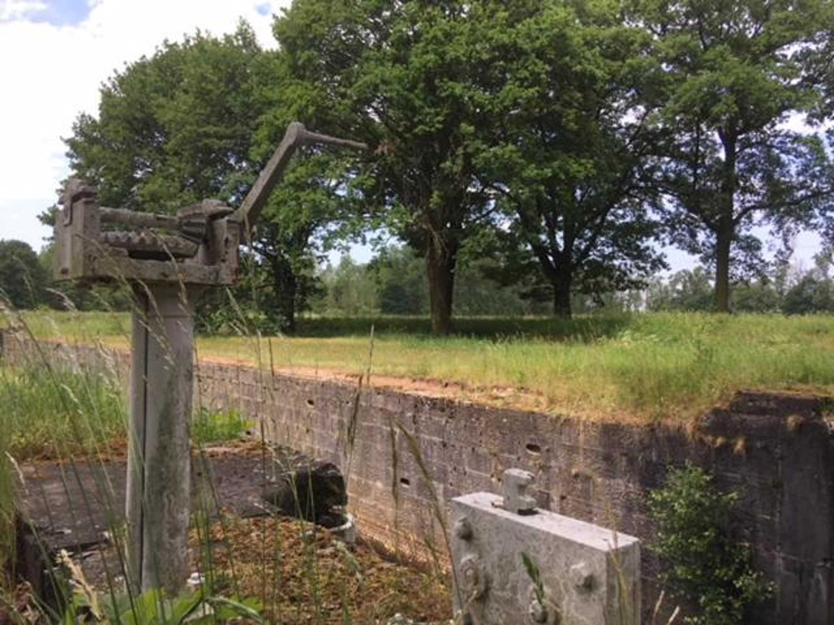 Gift card for Auxiliumwellness Get Back to Serenity