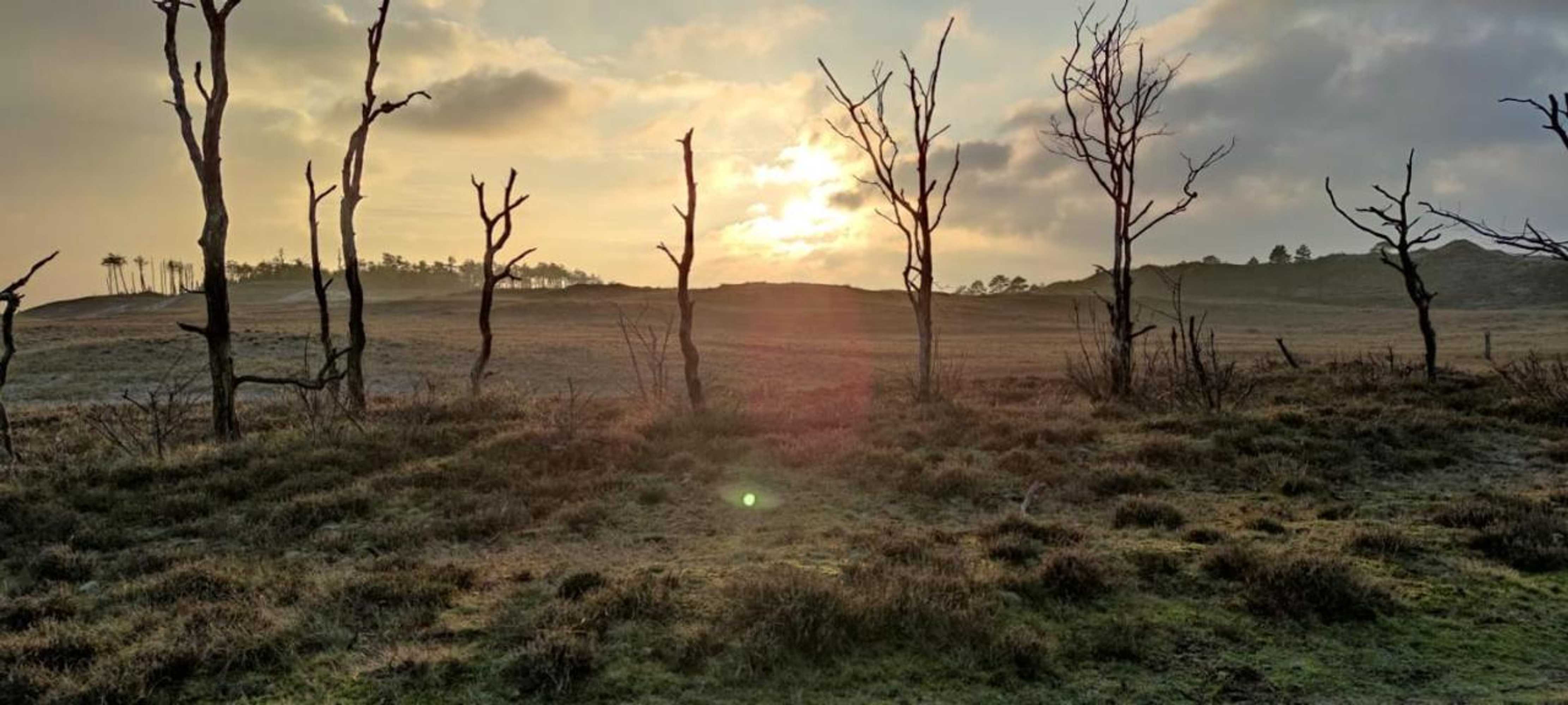 Gift card for Eureka Vakantiehuisjes