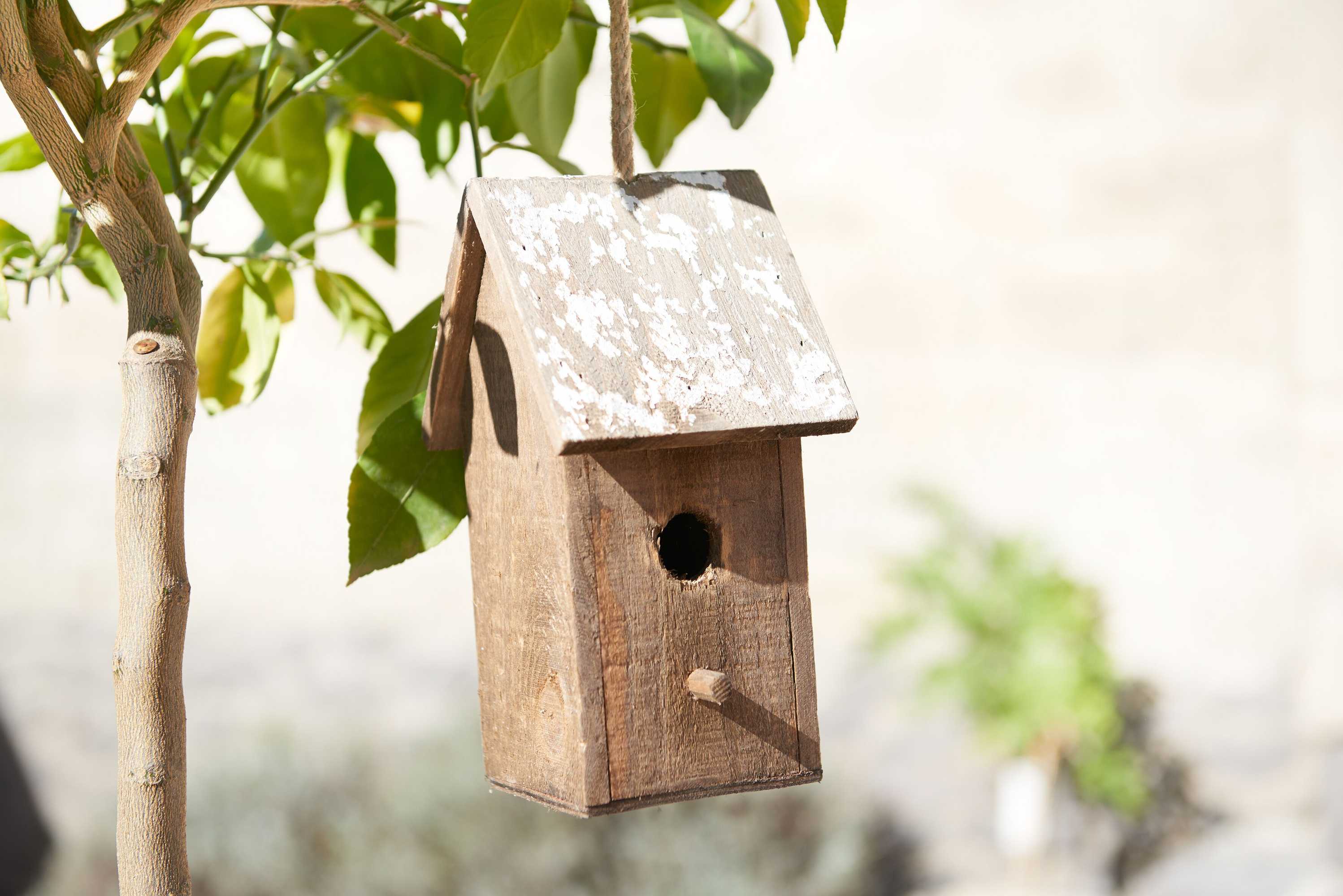 Gift card for Ferienhaus Lemon Tree