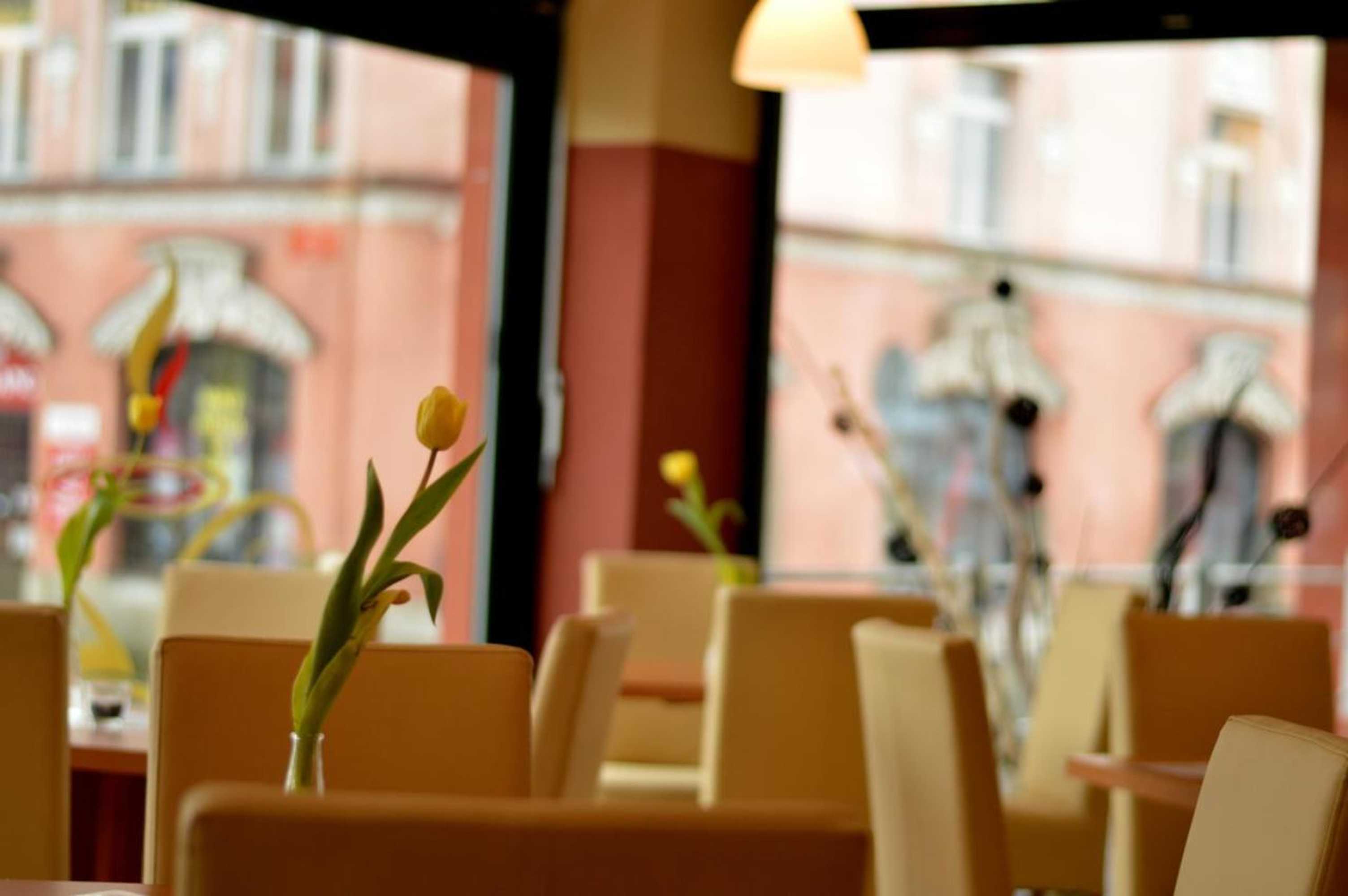 Gift card for Wellness Hotel Lužan