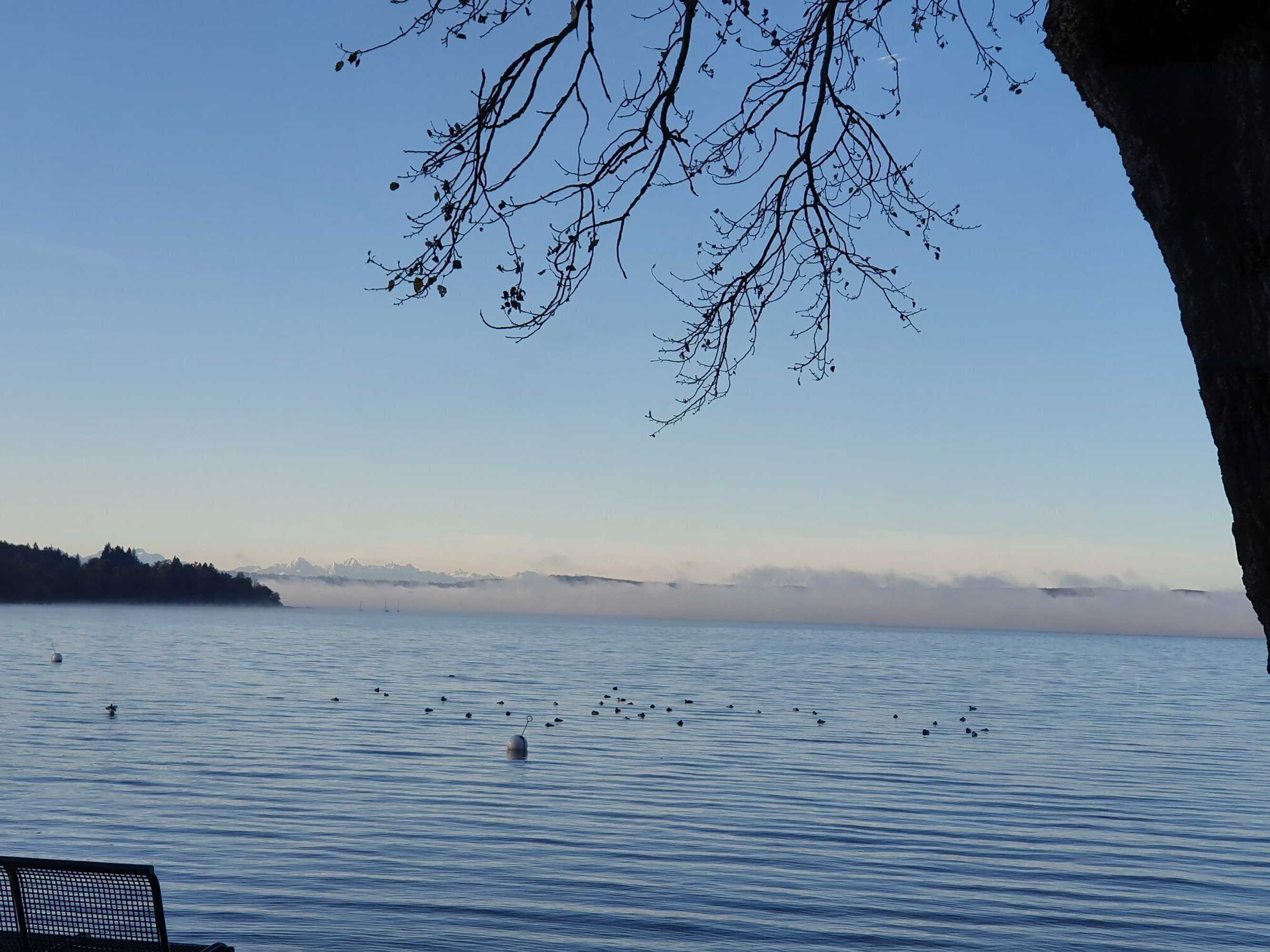 Gift card for Seehotel Pegasus