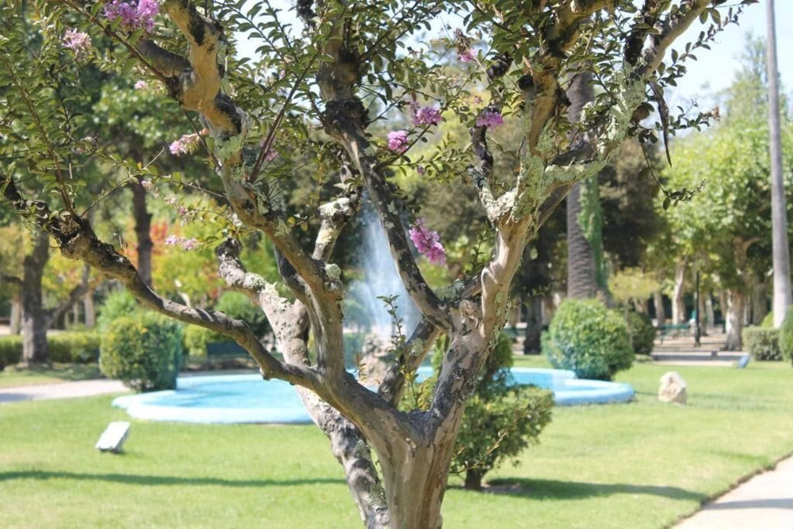 Gift card for Hotel Das Termas Curia Gift card for Hotel Das Termas Curia