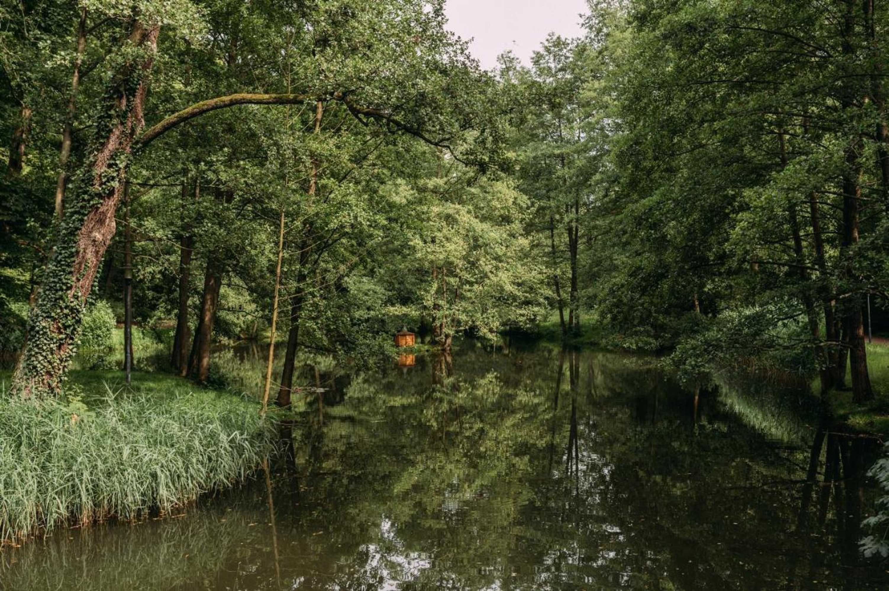 Gift card for Springmanns Parkschlösschen Lichtenstein