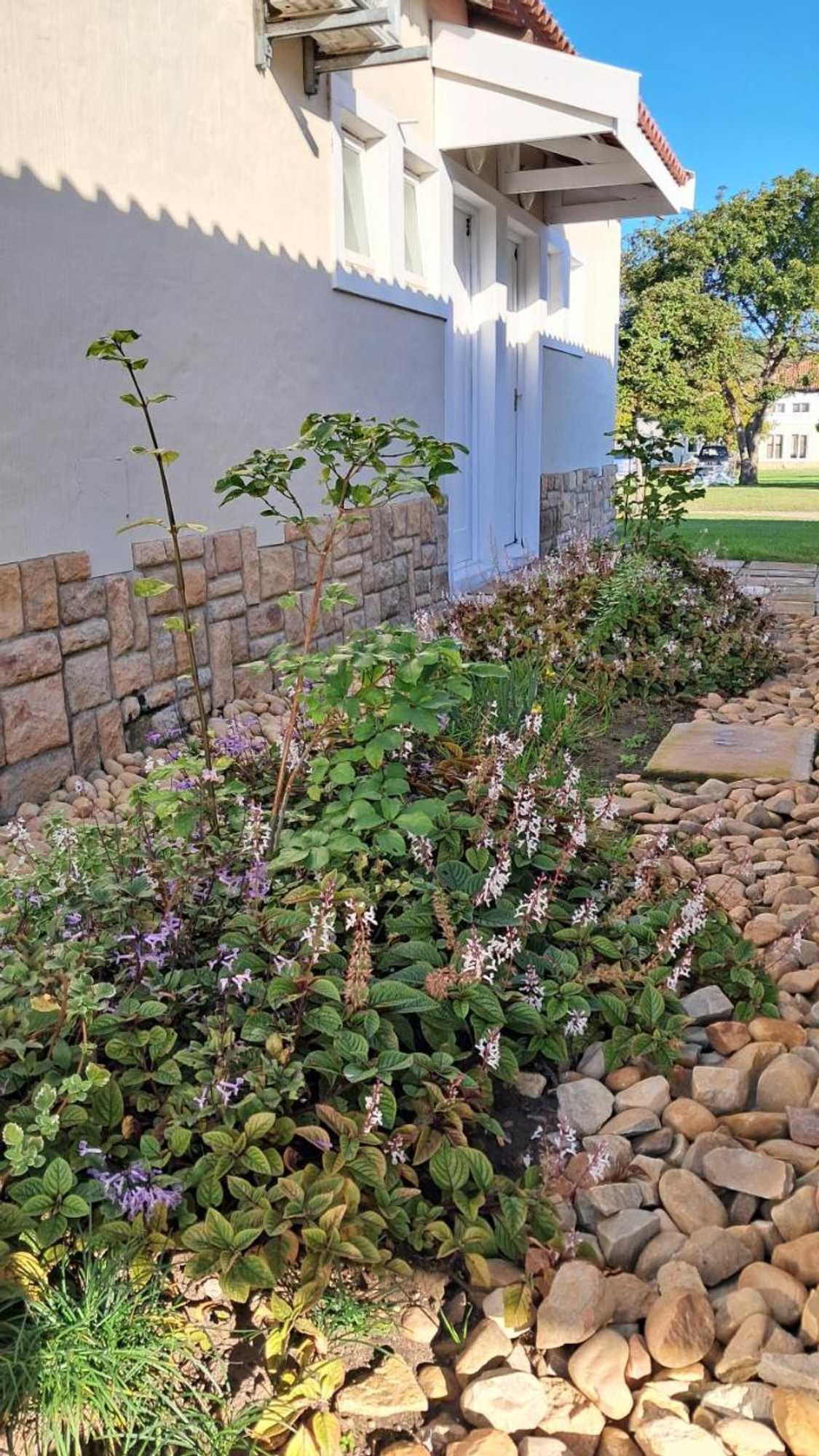 Gift card for Jolly Jenny at The Dunes