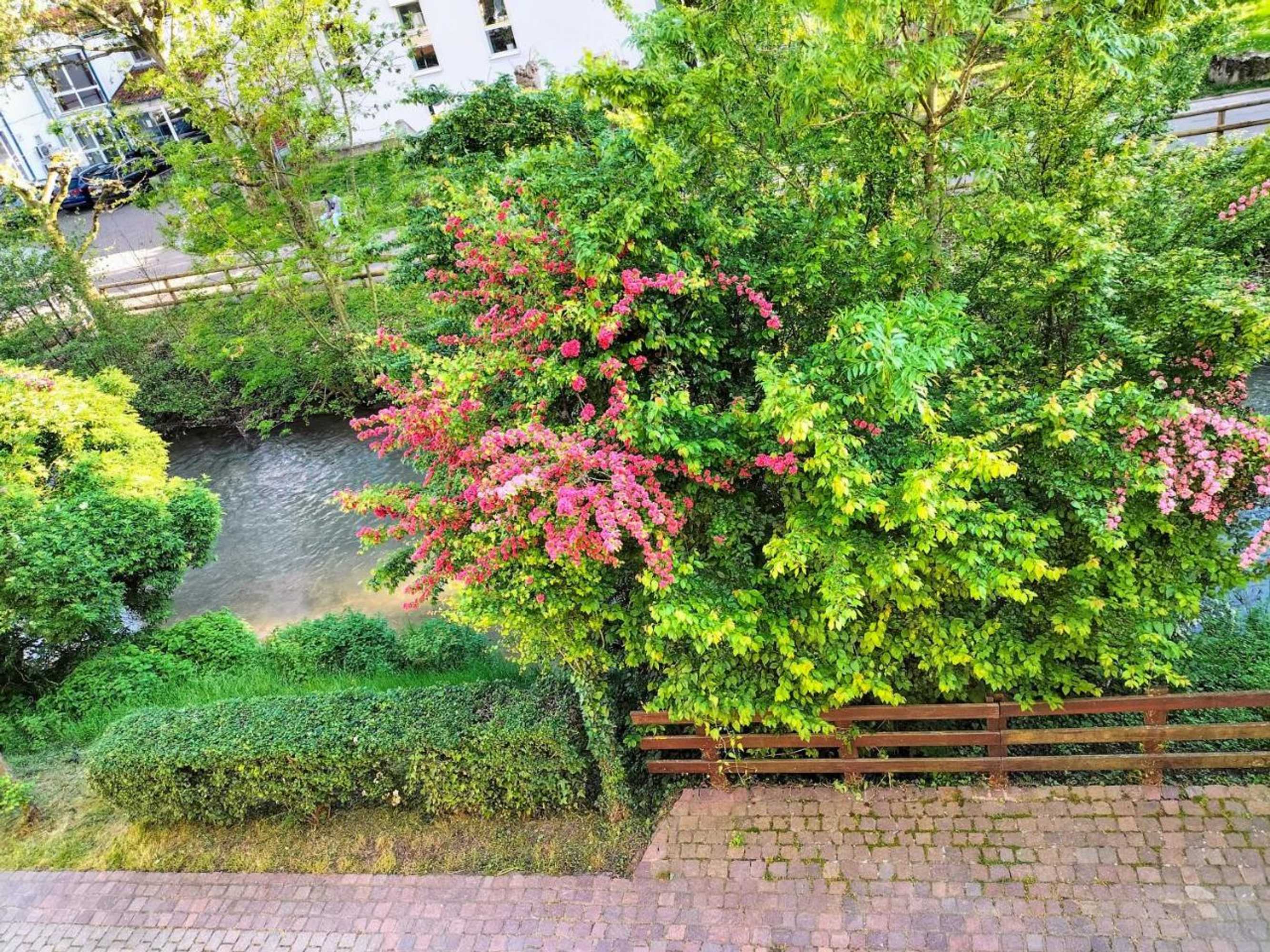 Gift card for Alte Stadtmauer - Apartment