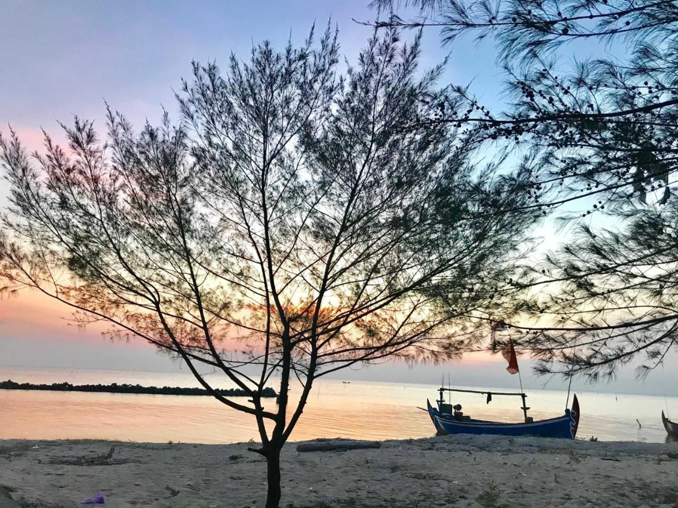 Gift card for Seabirds Bed And Breakfast Gift card for Seabirds Bed And Breakfast