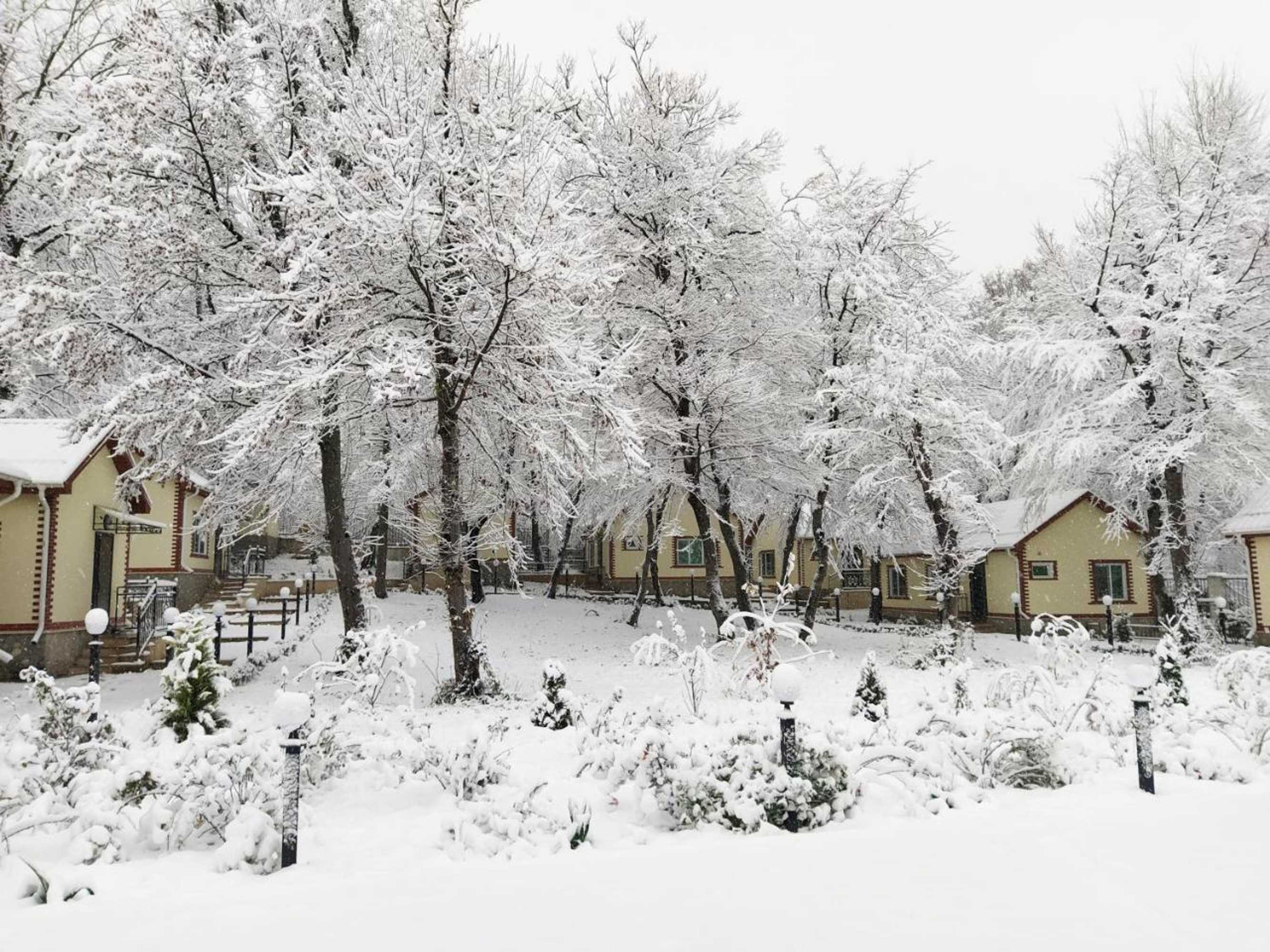 Gift card for Selena