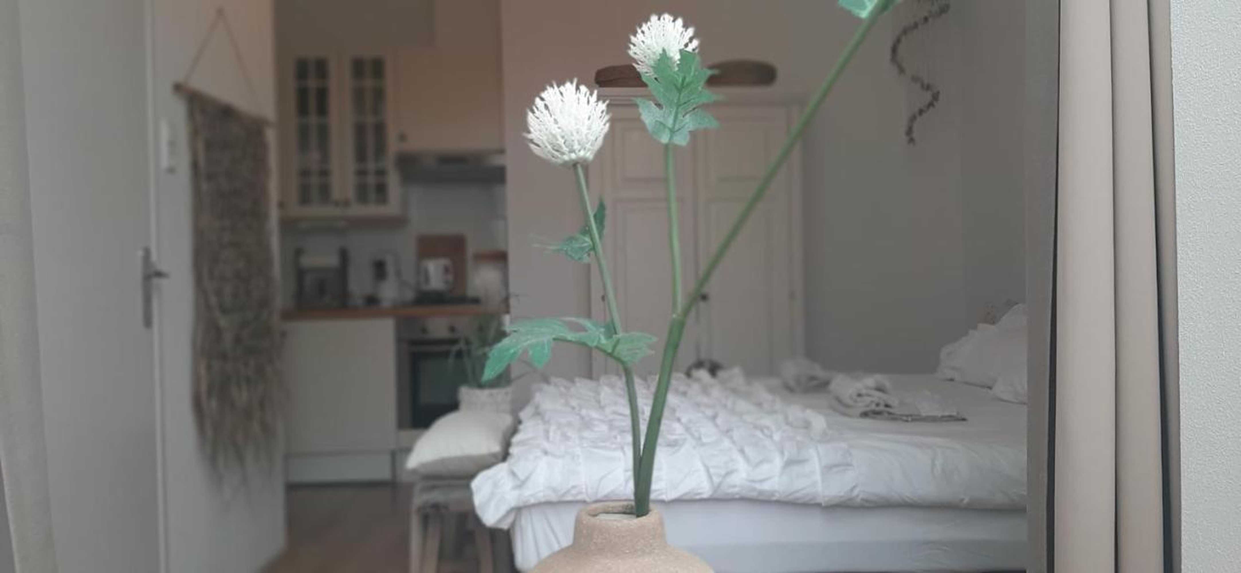 Gift card for Hendrika Apartments